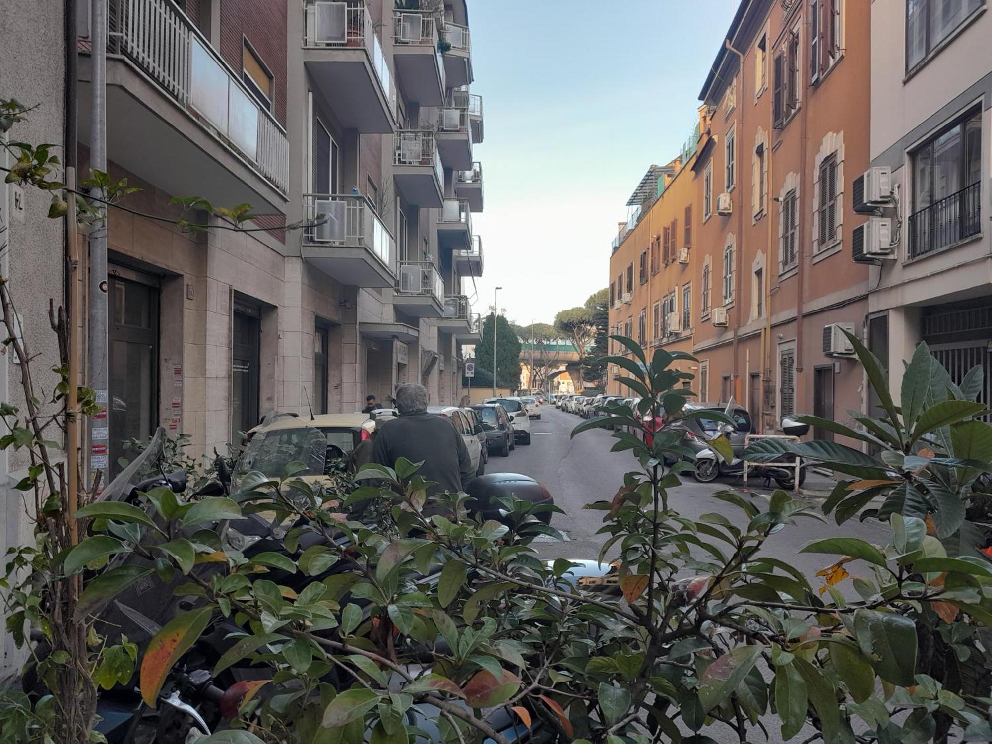 Domus Gelsomino Apartment