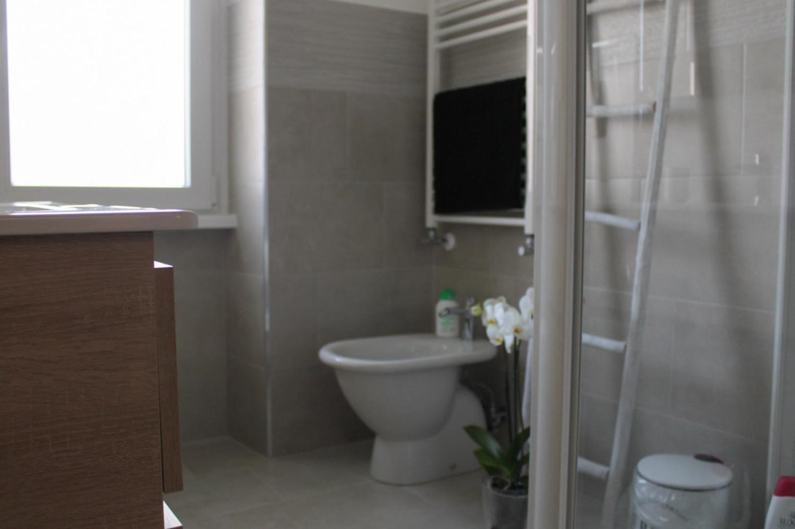 Bonelli Dreams In Guest house *