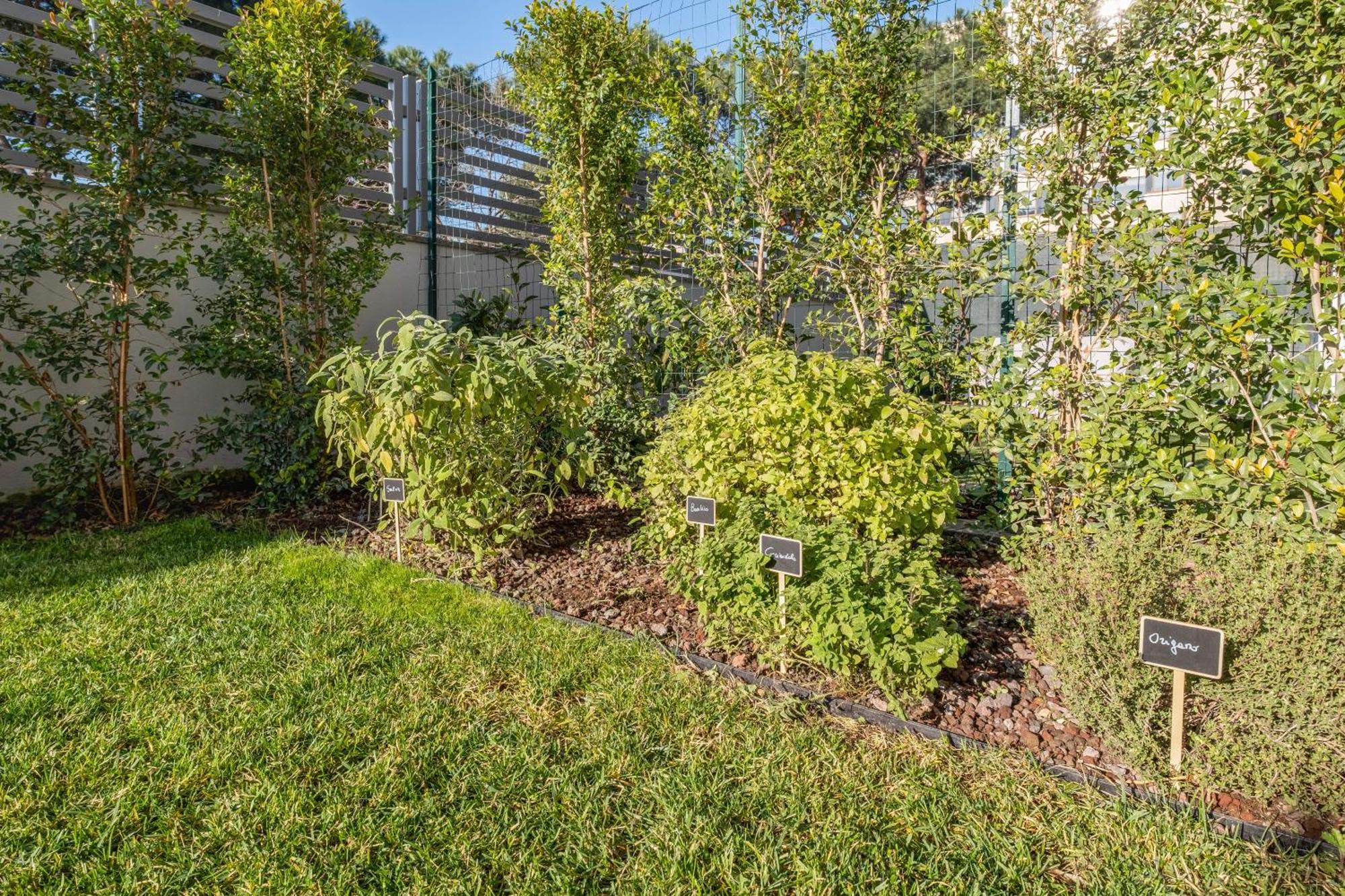 Apartment The Tropical Corner By Rentbeat *