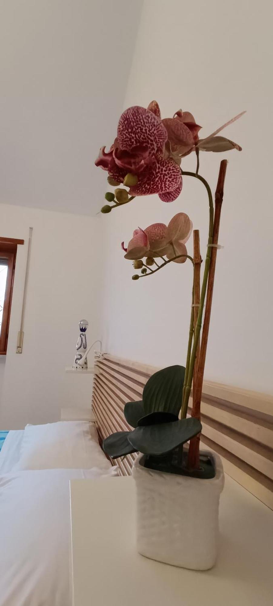 Casa Pereira Appartamento