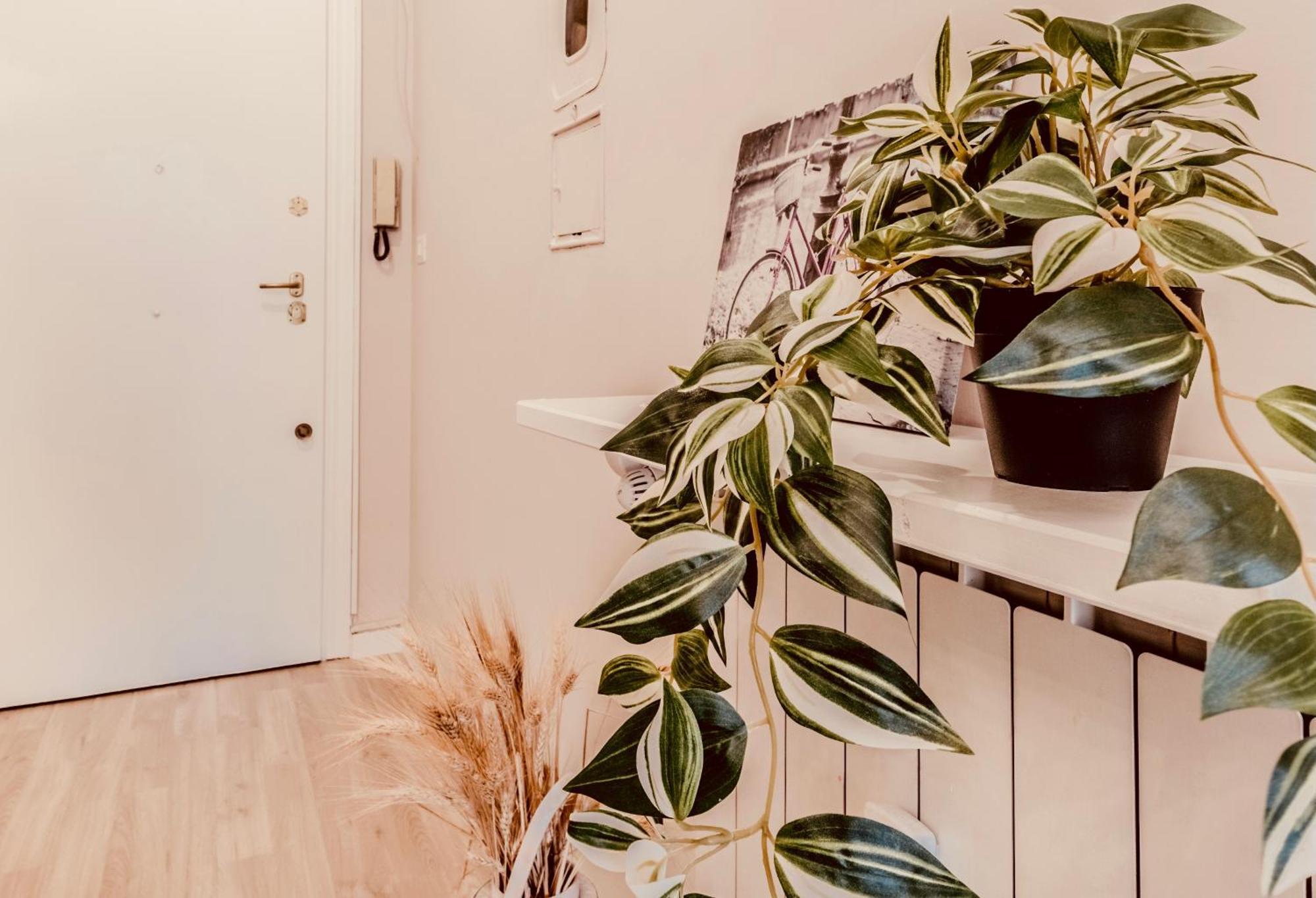 Domus Eleonora Apartment Rome