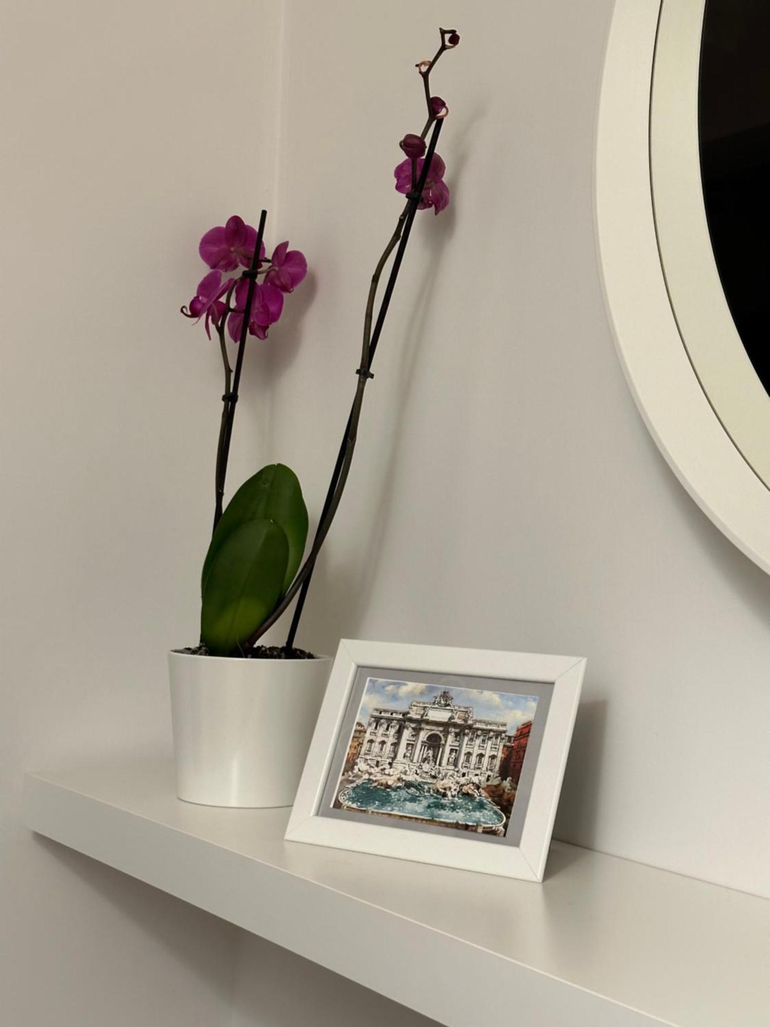 Trithome Boutique Barberini Roma