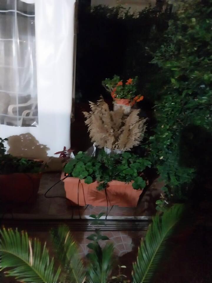 Appartamento Il Giardino Di Marimar Roma