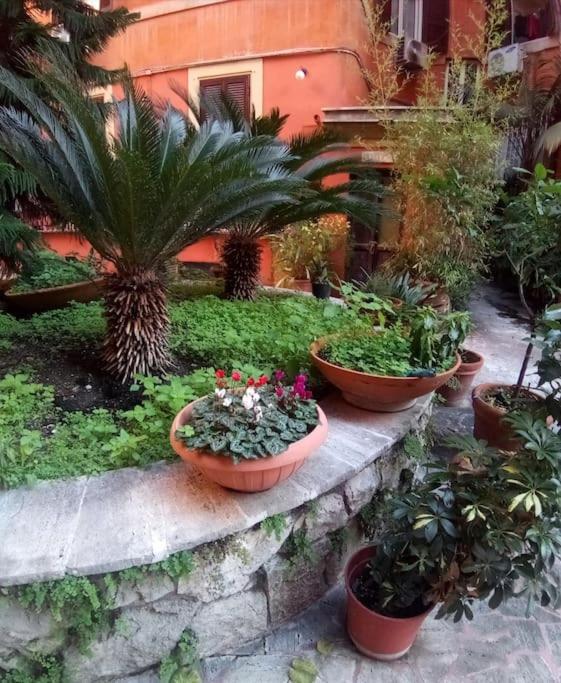 Grazioso Ai Musei Vaticani Apartment Rome
