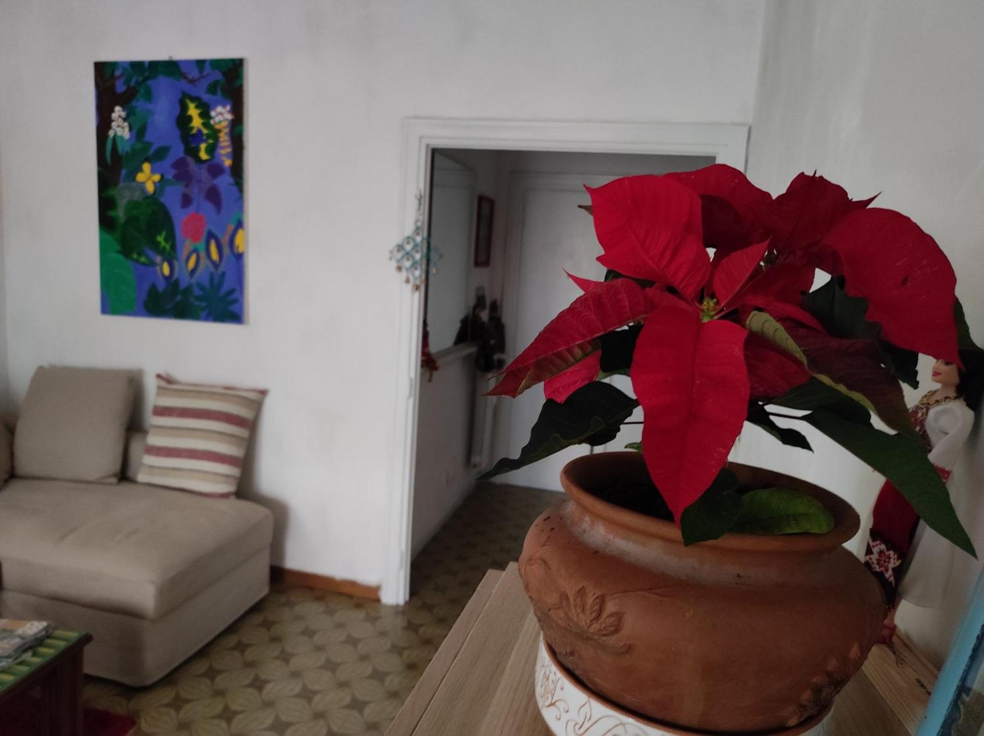 Apartment Terrazza Di Ernesto Rome