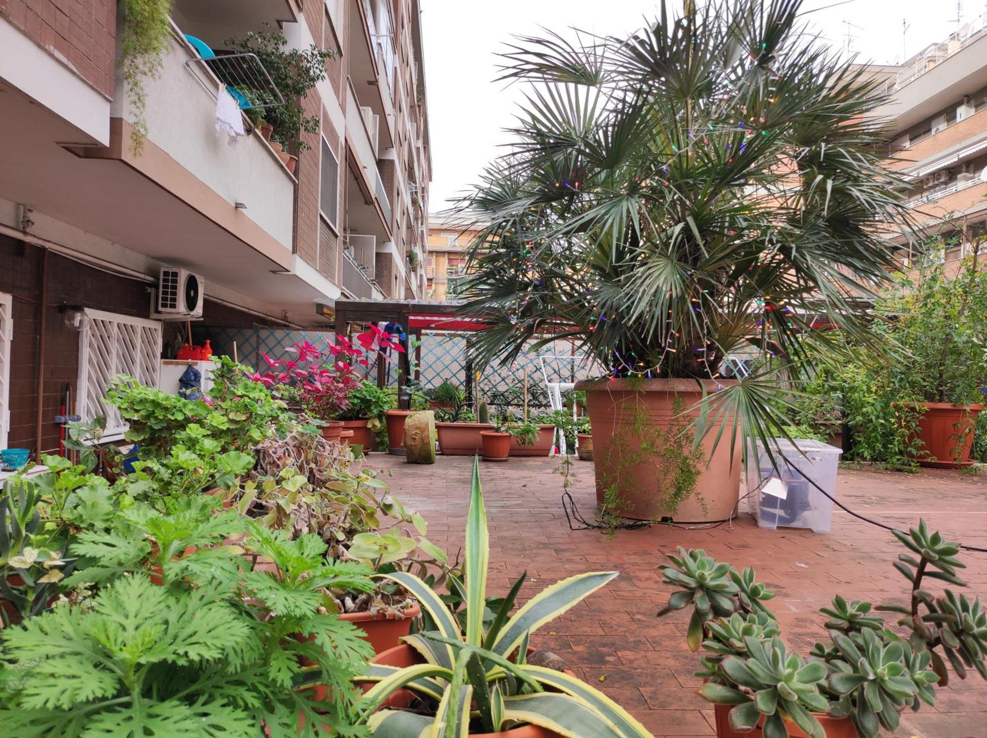 Apartment Terrazza Di Ernesto Rome