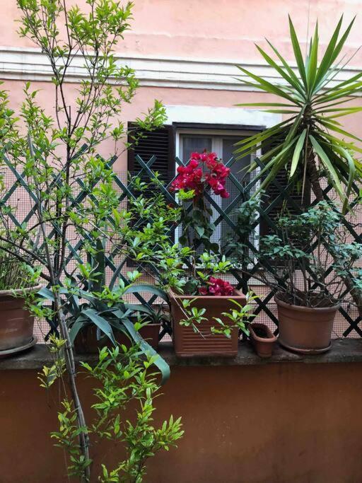 Apartment Centro Storico Con Terrazza *