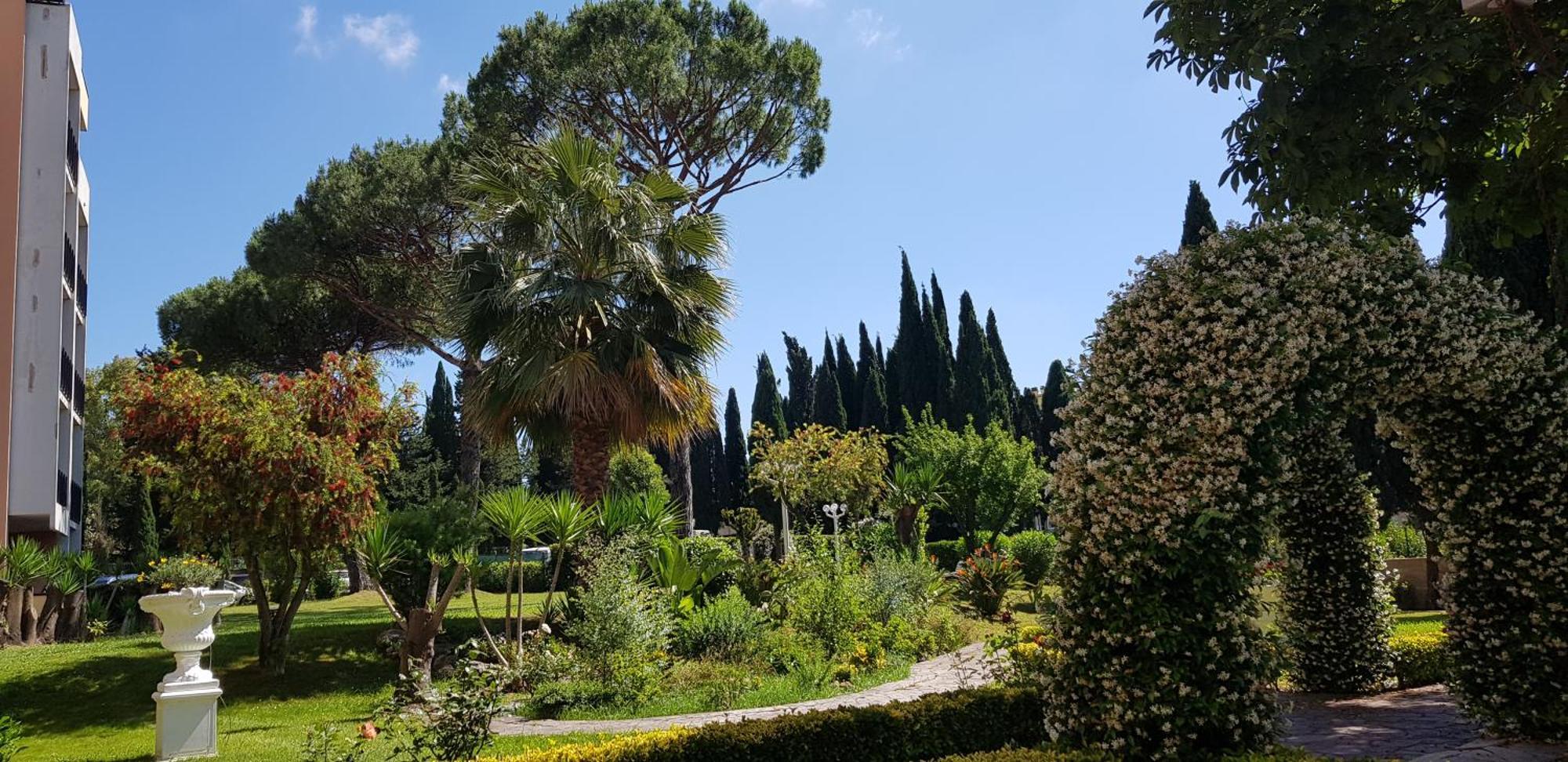 Oasis * Rome