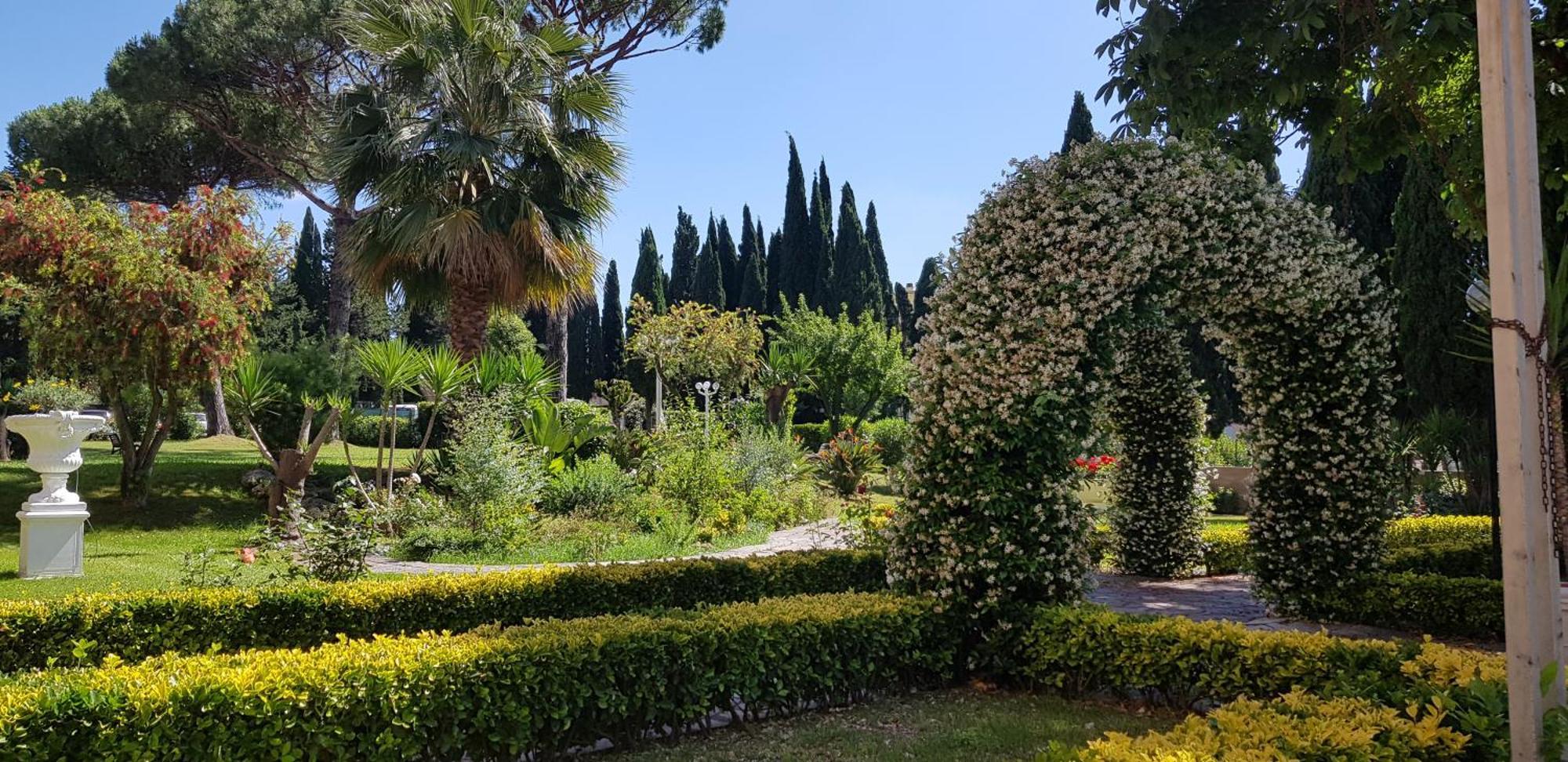 Oasis