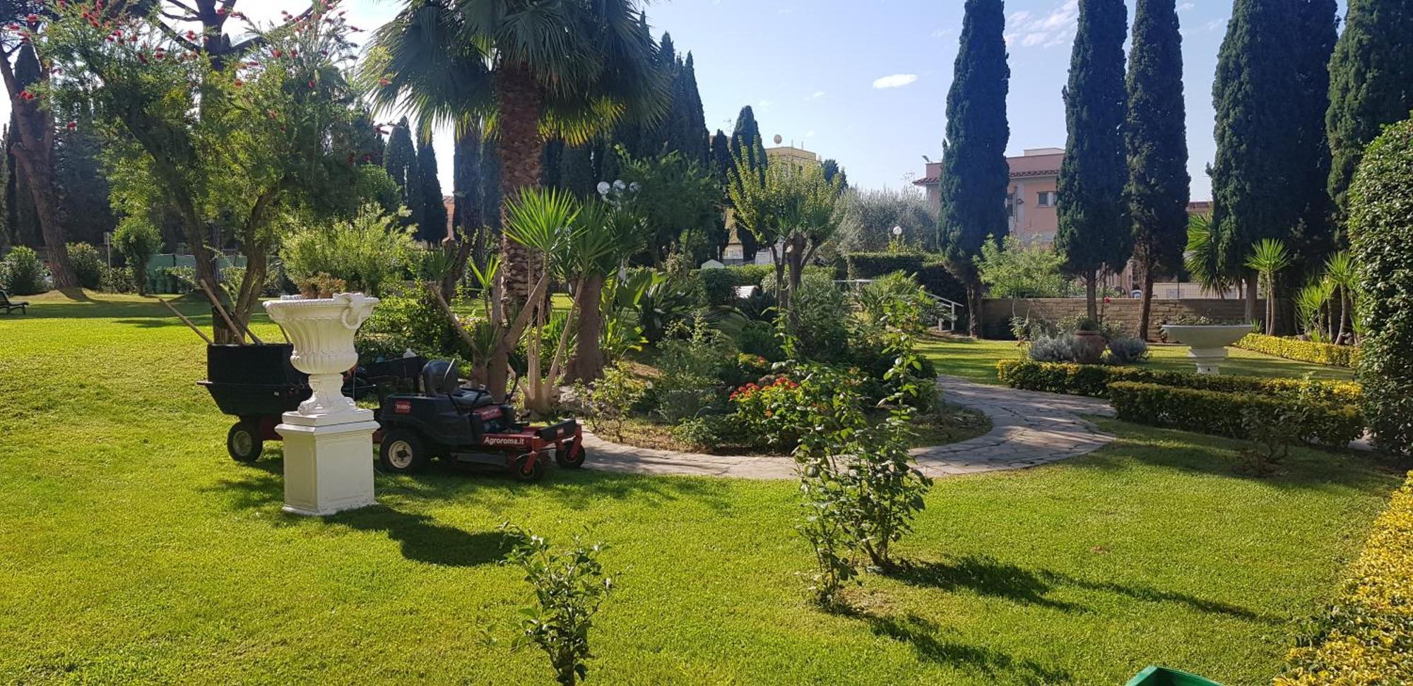 Oasis