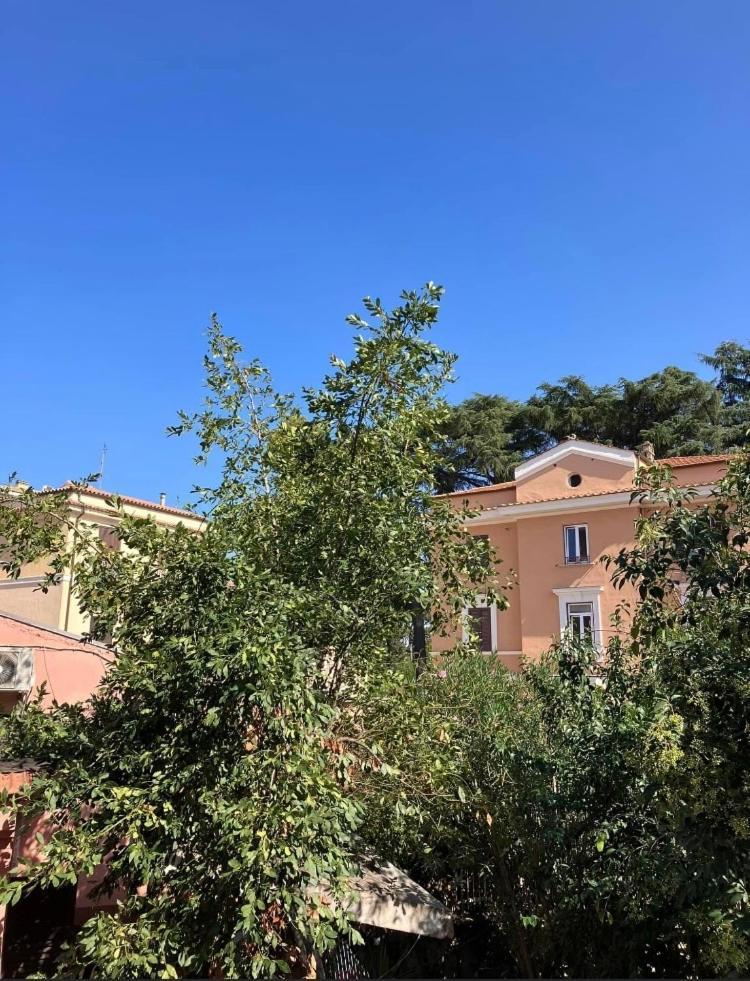 Casa Di Vivi, Comoda Per Il Centro, Il Vaticano Ed Il Gemelli *