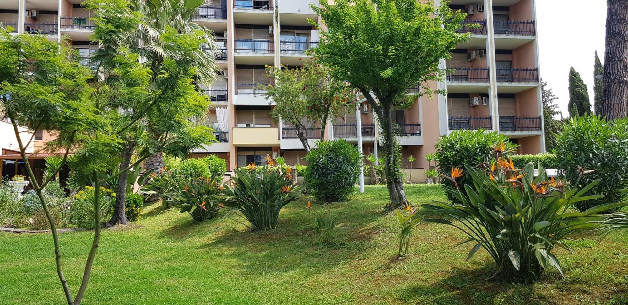 Apartment Oasis