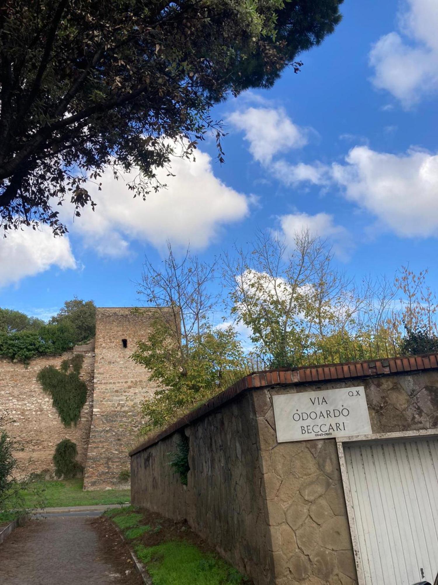 Boutique Maximus Guest house