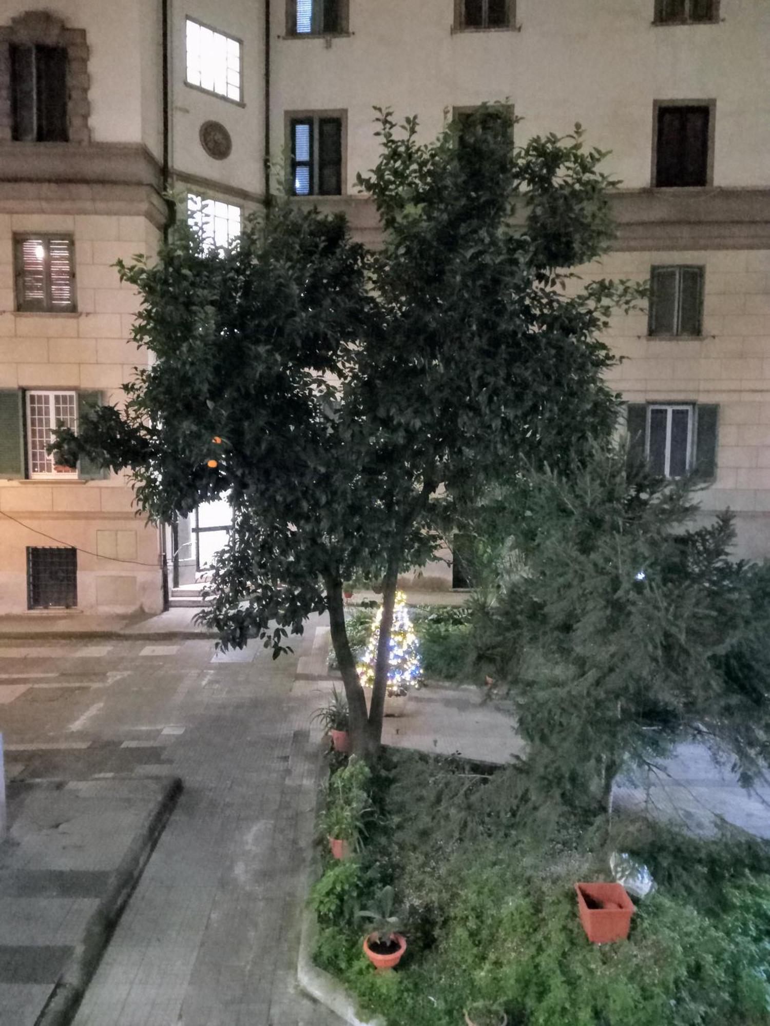 L'appartamento Di Carla Zona Storica Rome