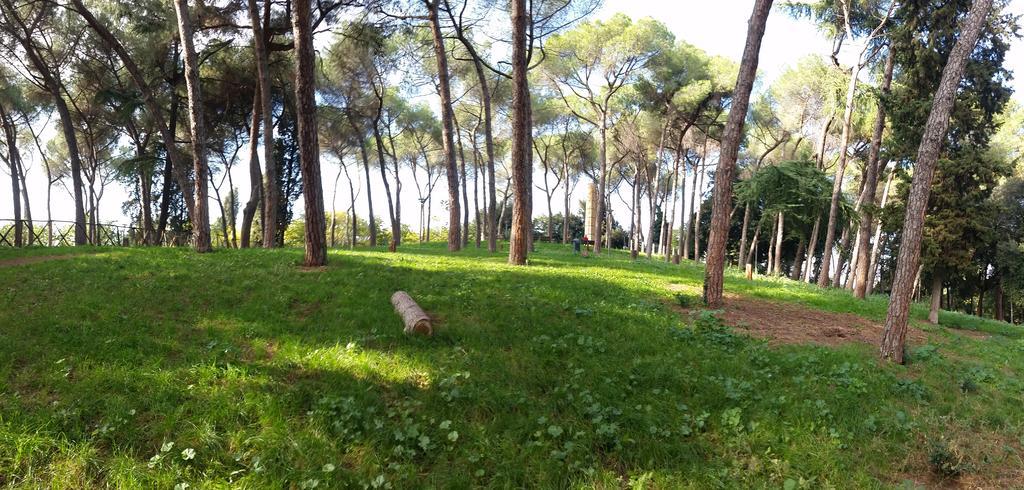 Holiday Home Roma * Rome