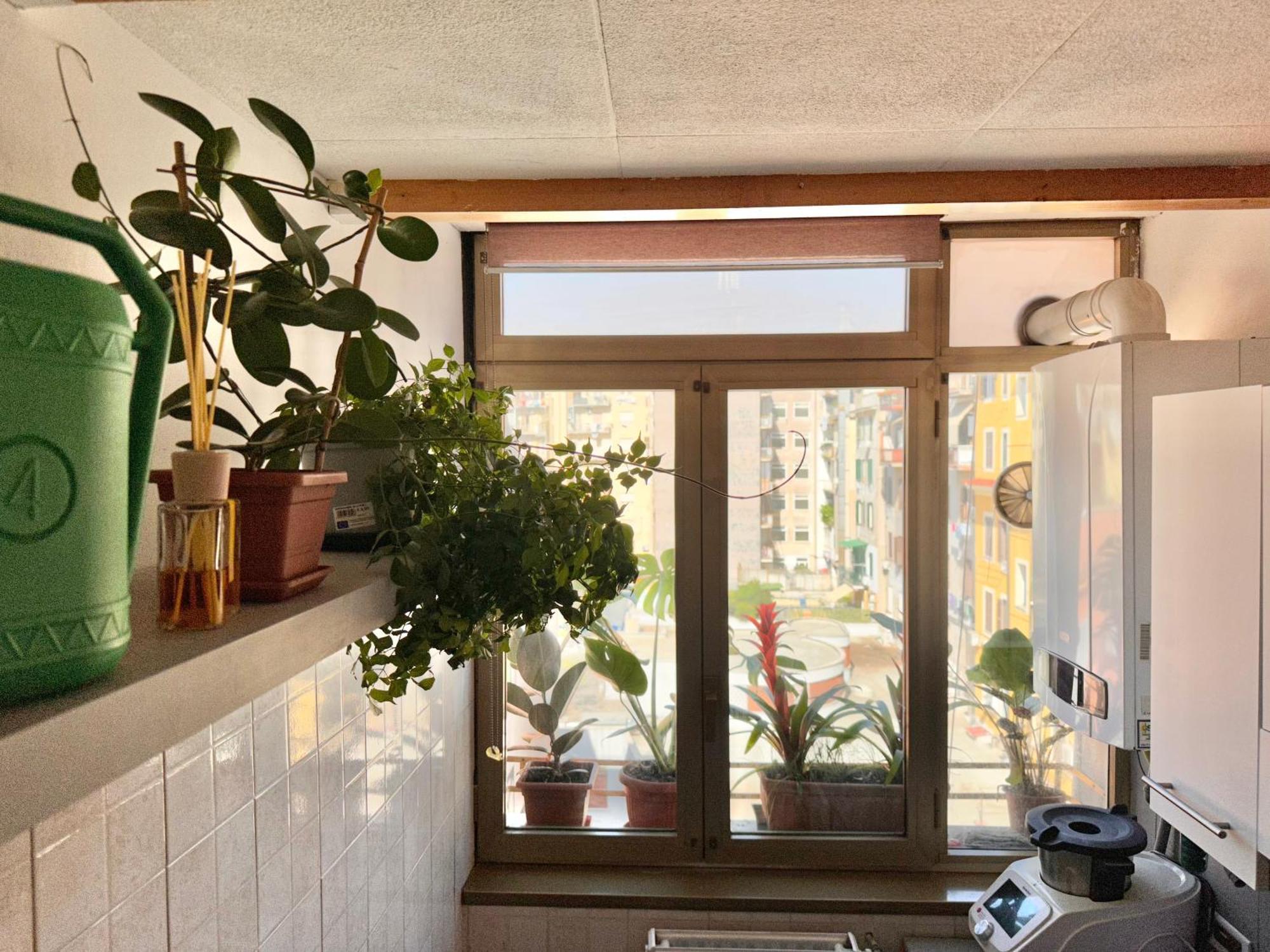 Appartamento Grimaldi House