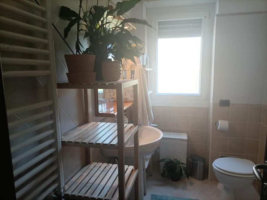 Mia Ginger, Stazione Trastevere Vicinanze Apartment Rome