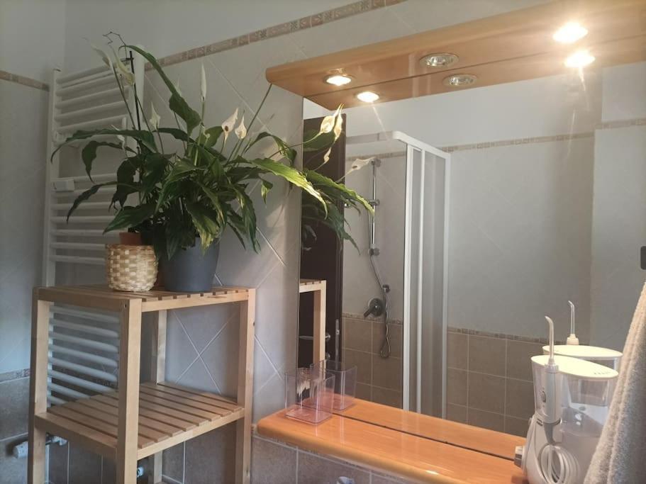 Mia Ginger, Stazione Trastevere Vicinanze Apartment