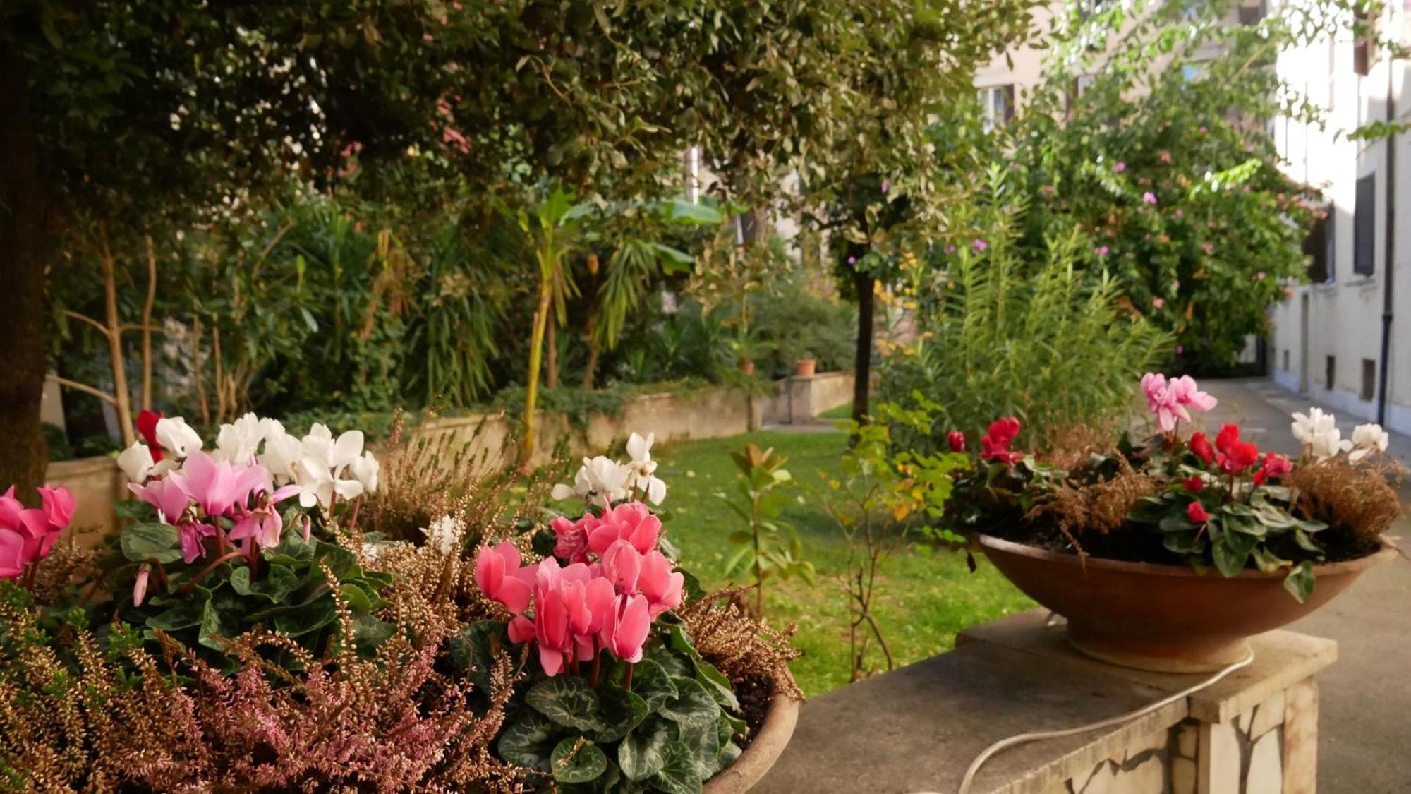 Vera Suite&apartment - Charming 3 Bedroom - 20min Walk From Colosseum Apartment