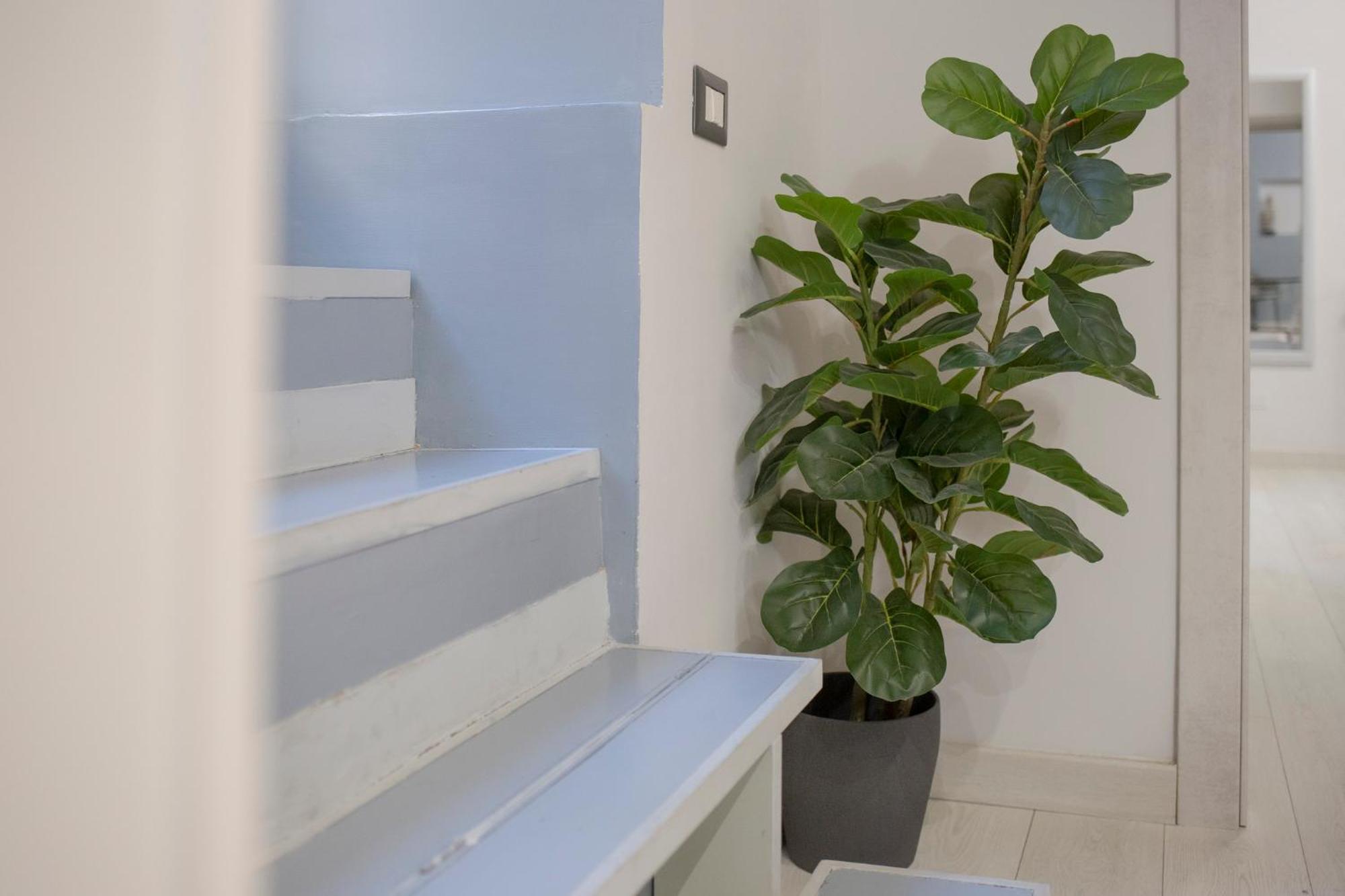 D'elite Cunfida - Vatican San Pietro Apartment Rome