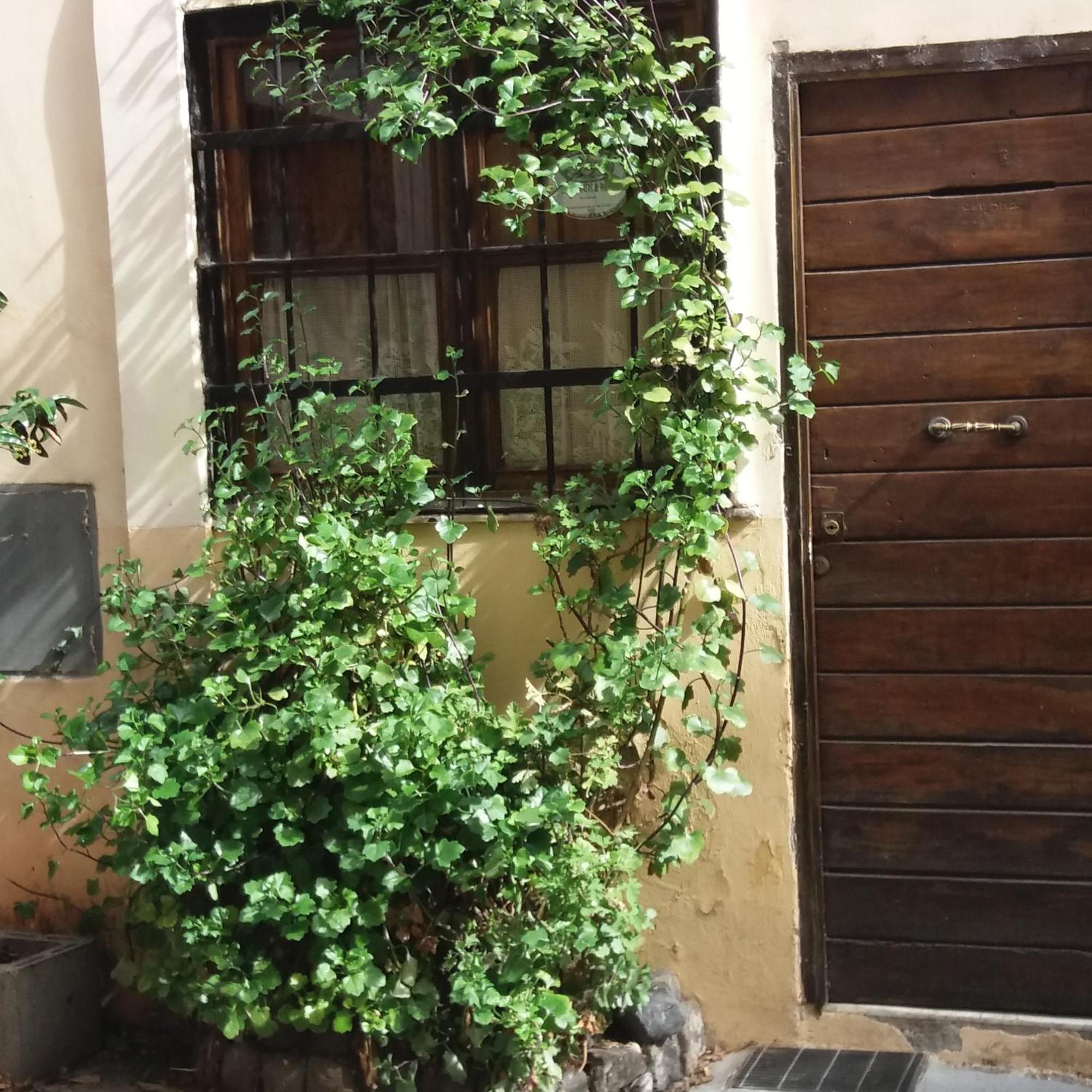Bed & Breakfast Ventisei Scalini A Trastevere Rome