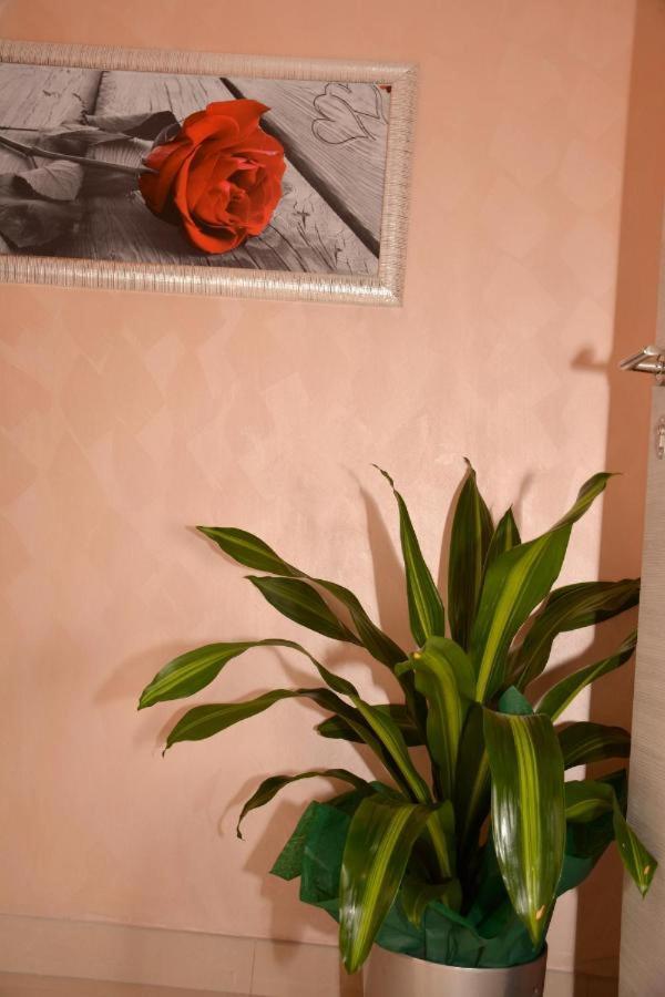 Bed & Breakfast Italy