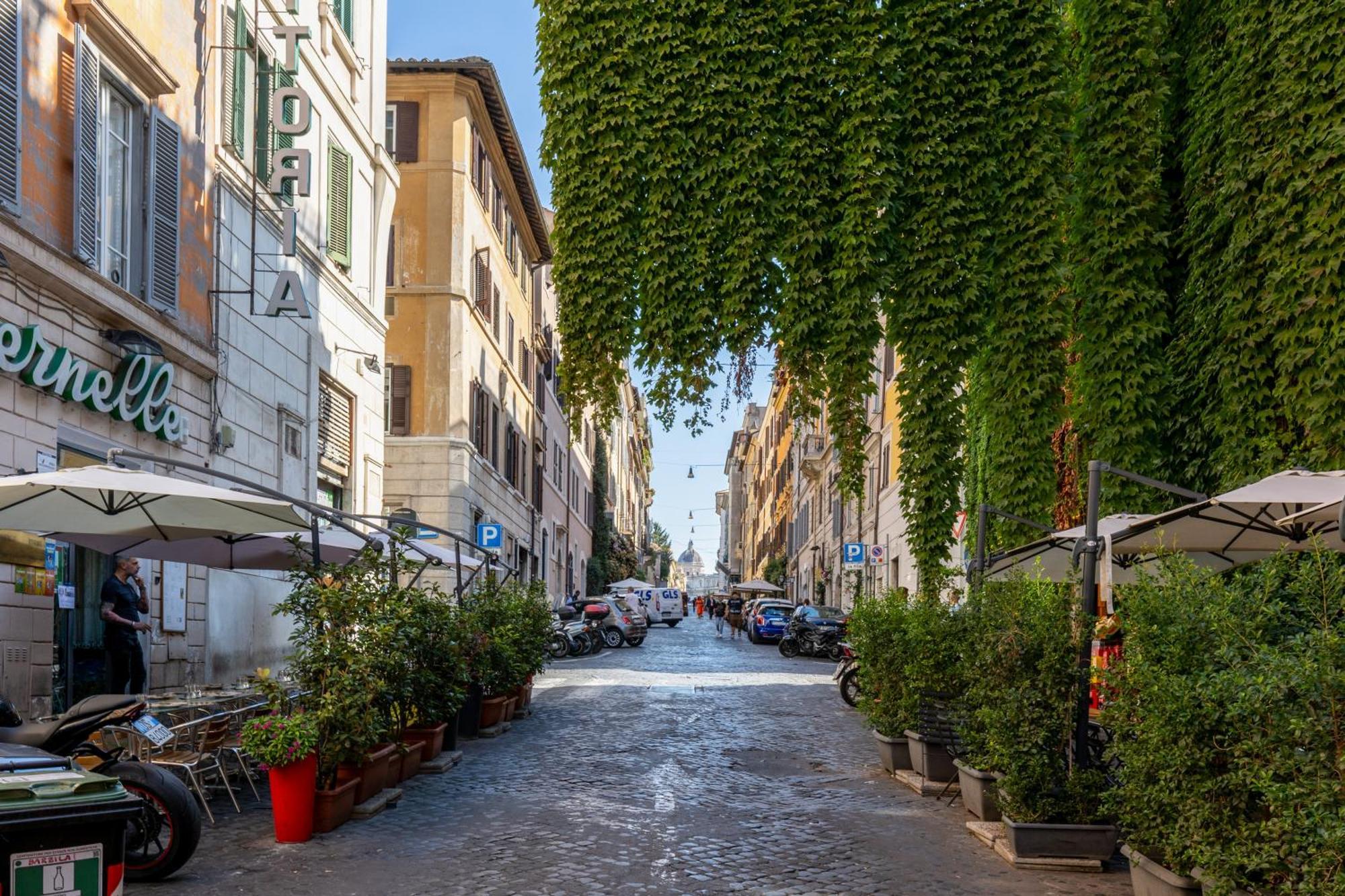 Bed & Breakfast Domus 14 Roma