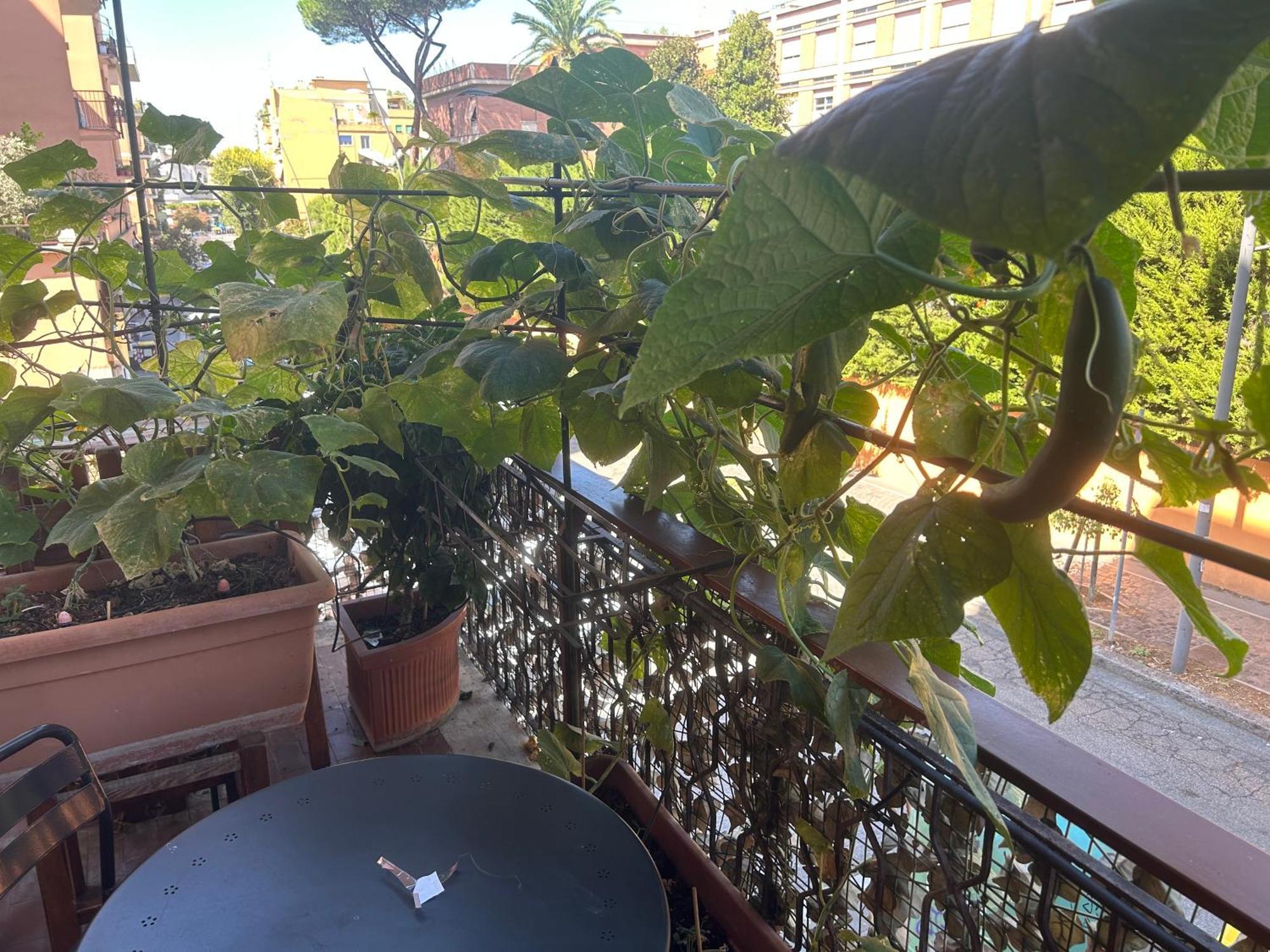 Bed & Breakfast La Fontana Di Carlotta