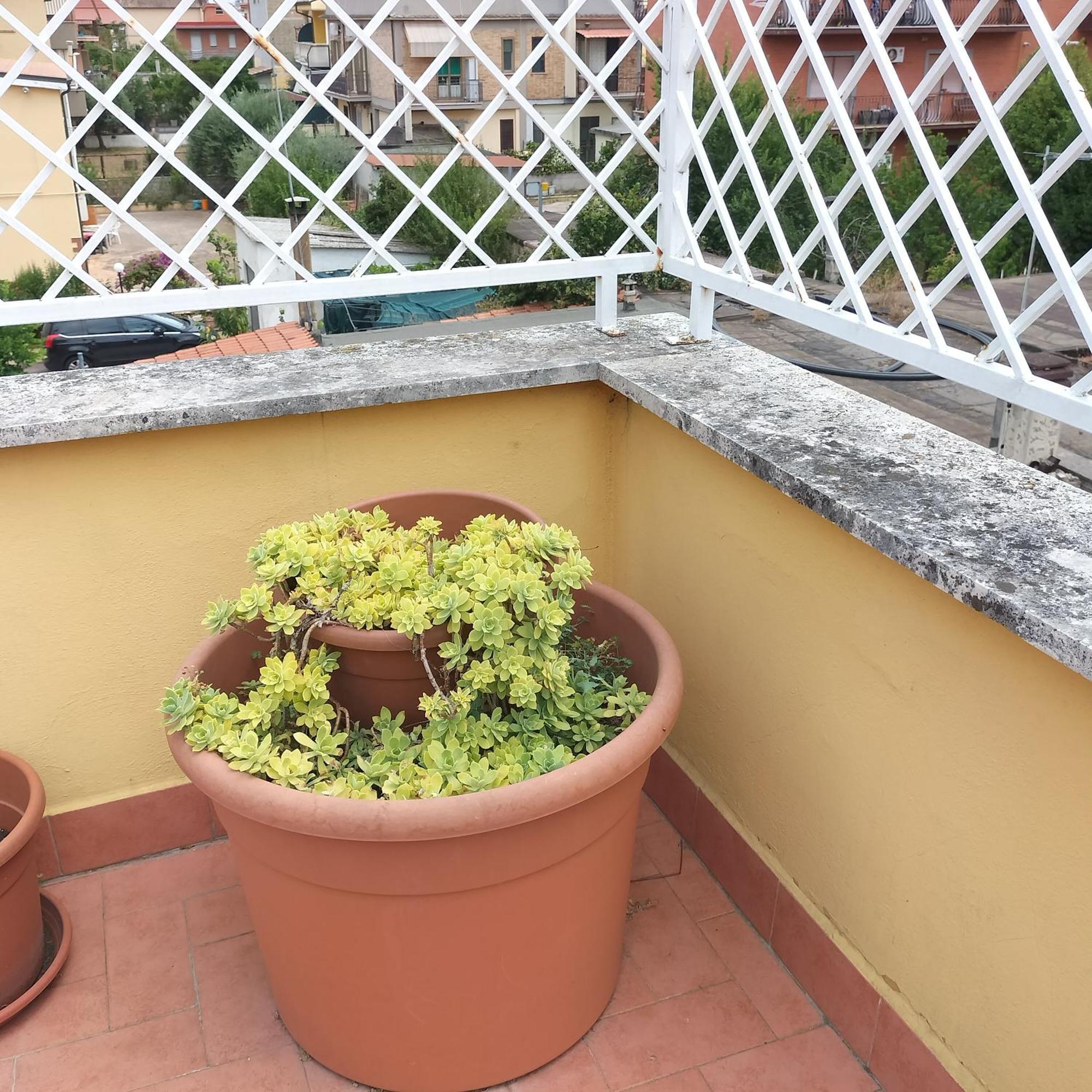 Apartment Roma Casilina