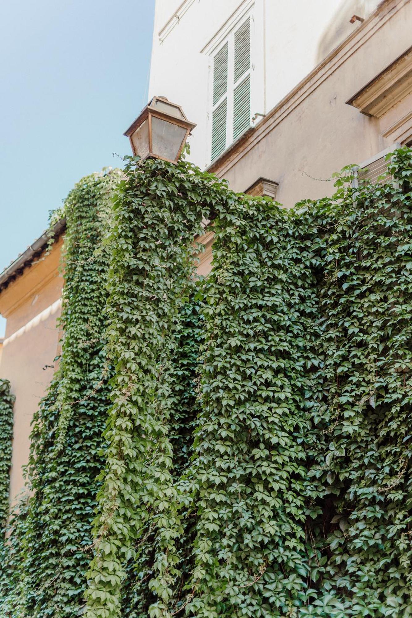 L'agata * Rome