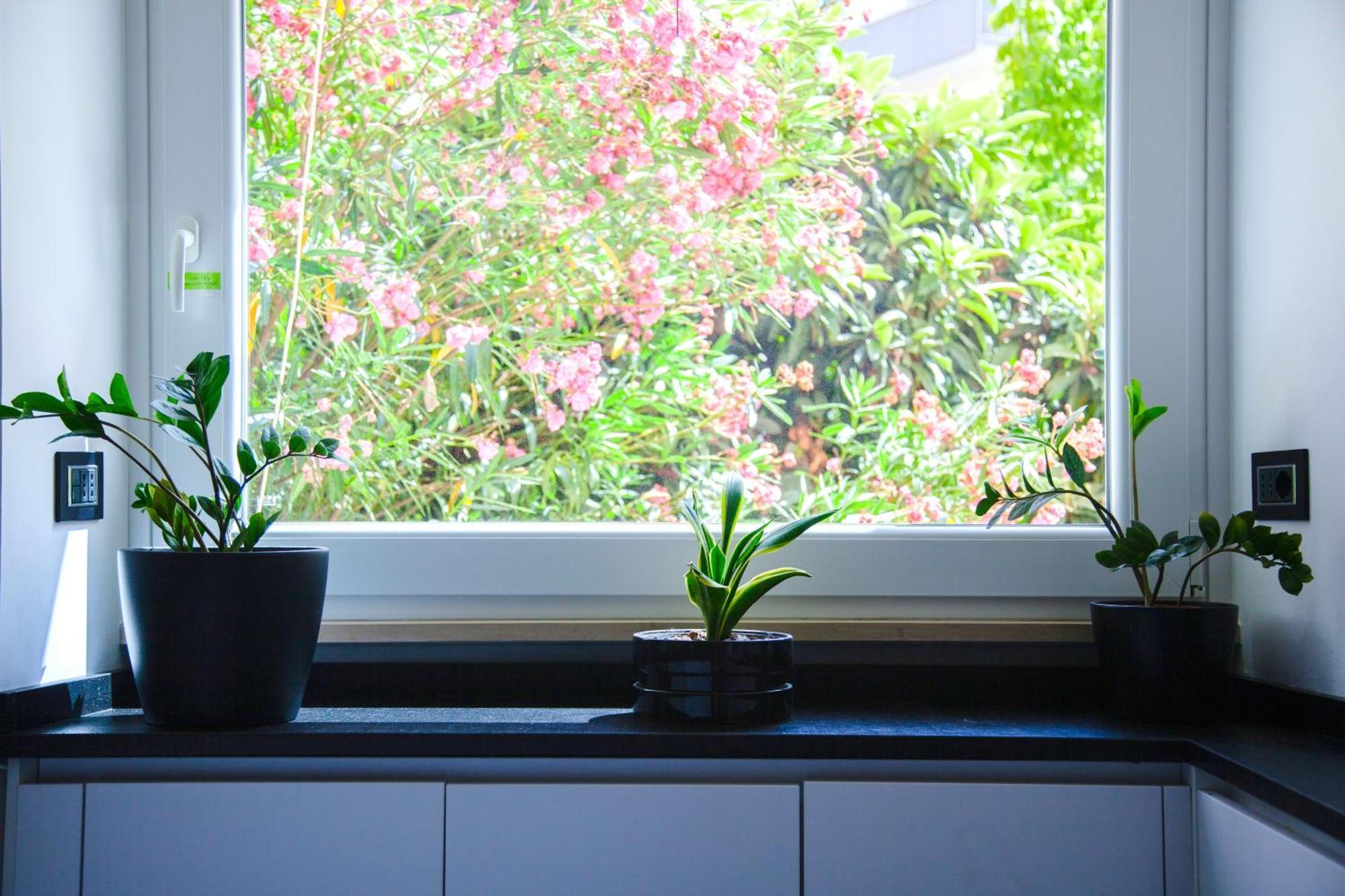 Luxury Modern Flat Near Vatican With Self Check In And Free Street Parking Appartamento Roma