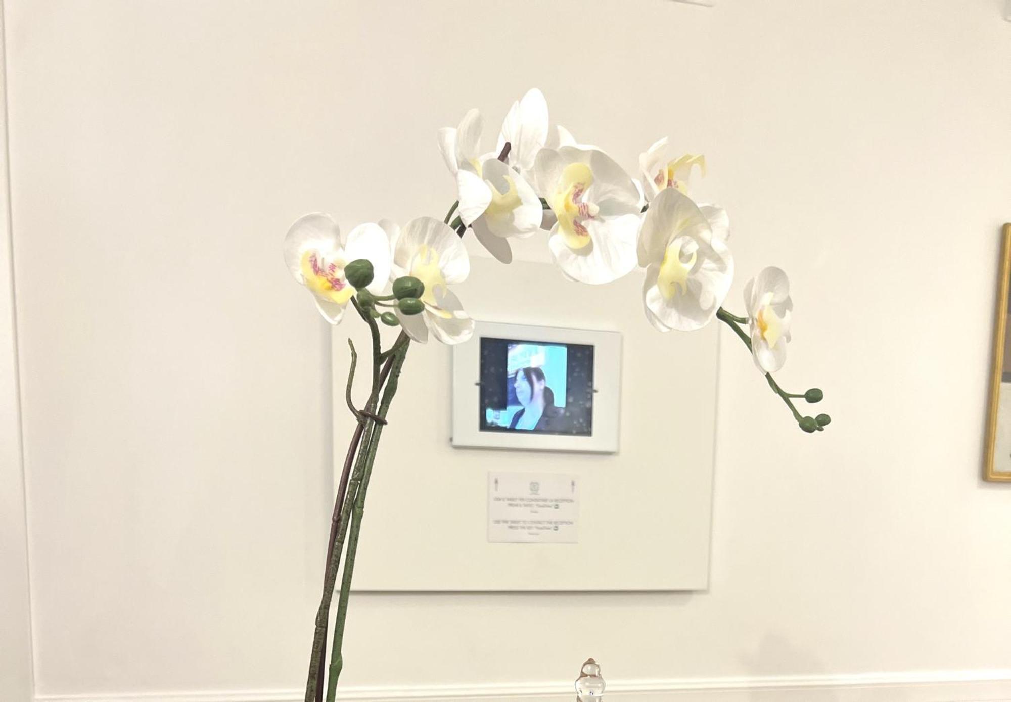 Guest house Interno