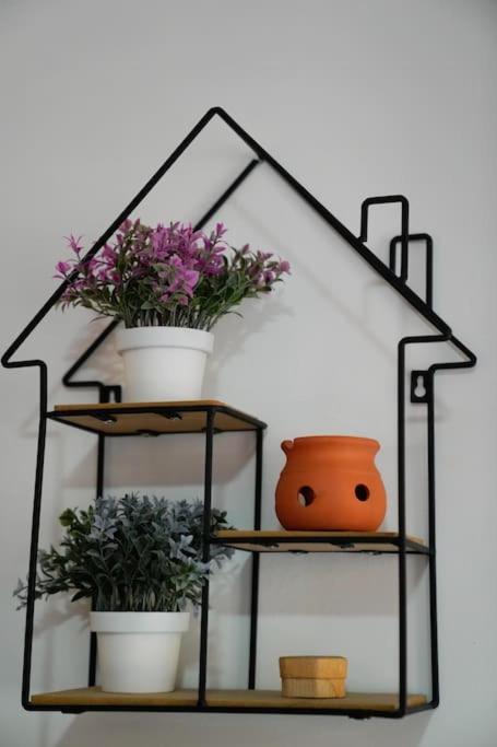 Bonelli Loft Rome