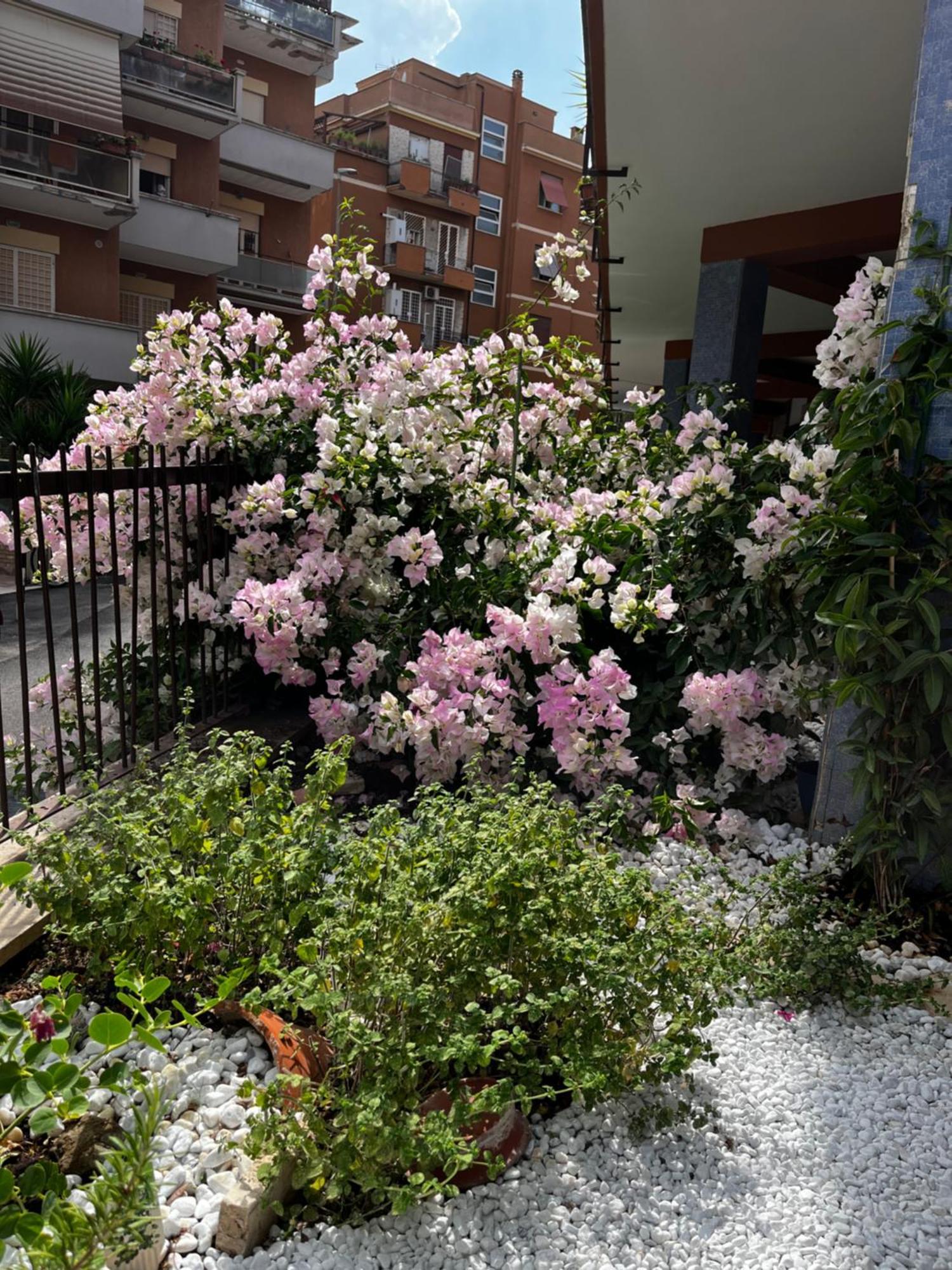 Casetta Romana * Rome