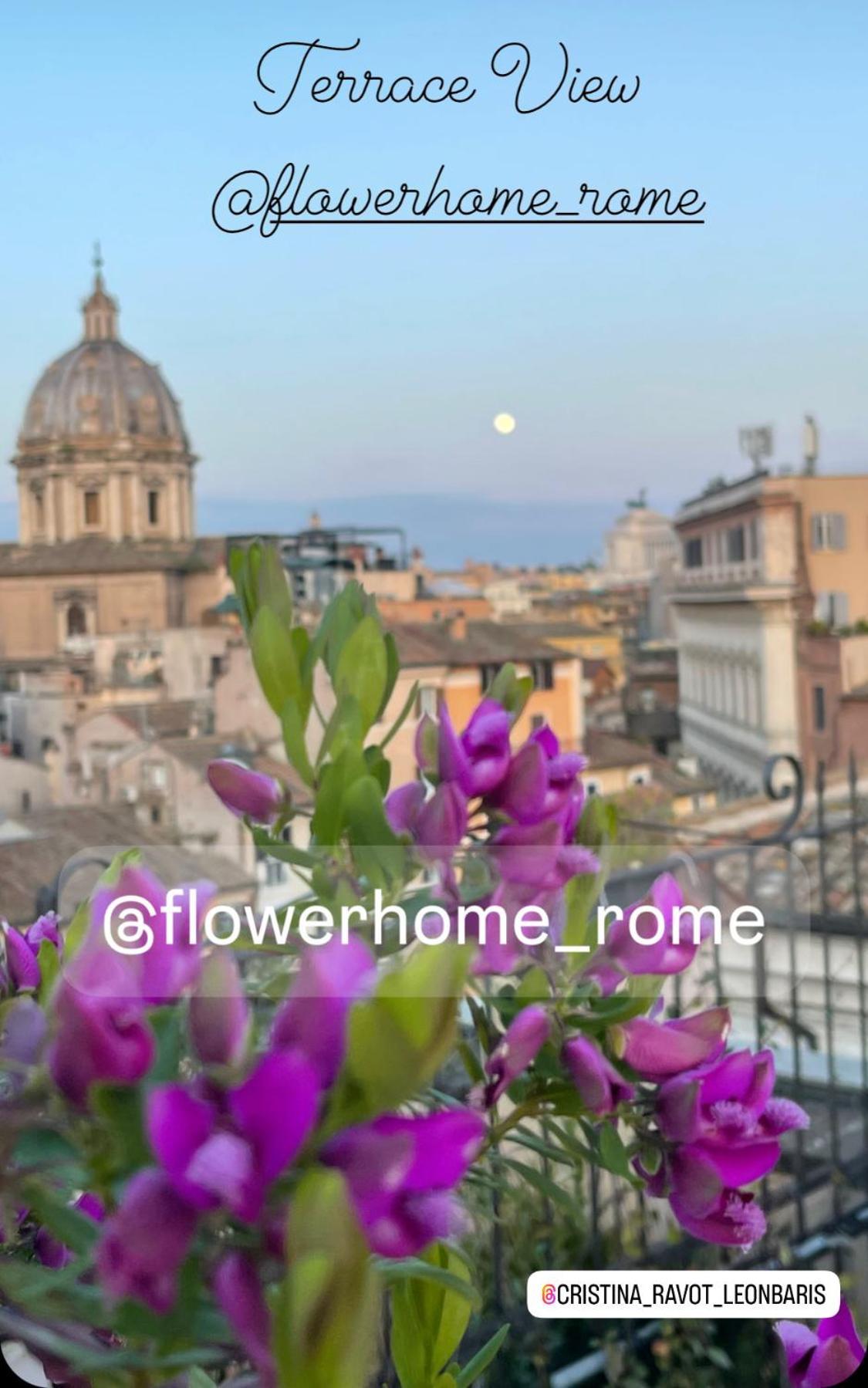 Flower Apartment
