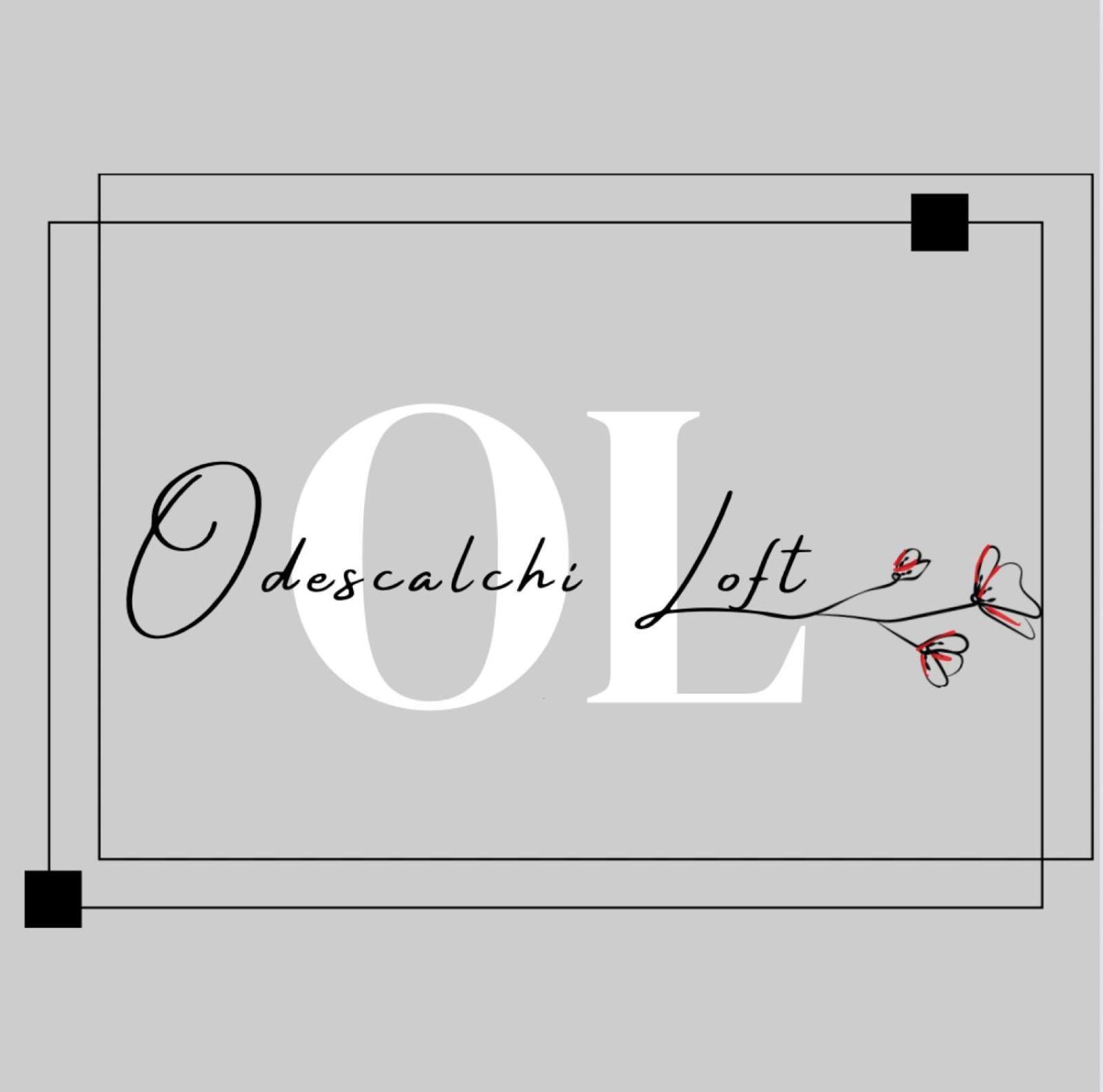 Odescalchi Loft *