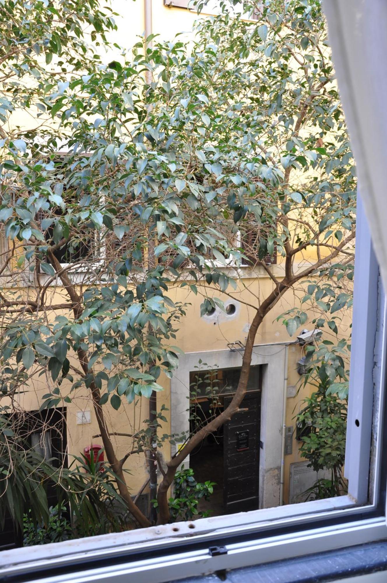Guest house Colosseo *