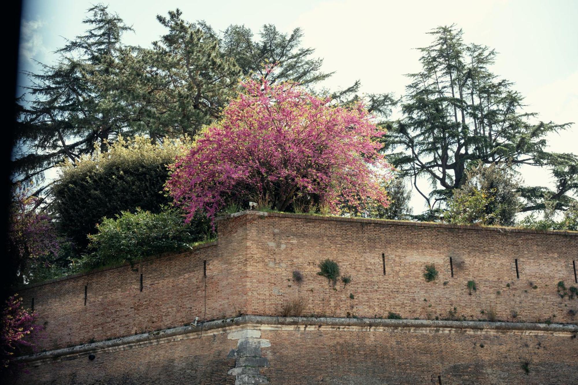 Art House Vaticano Luxury Apartment Rome