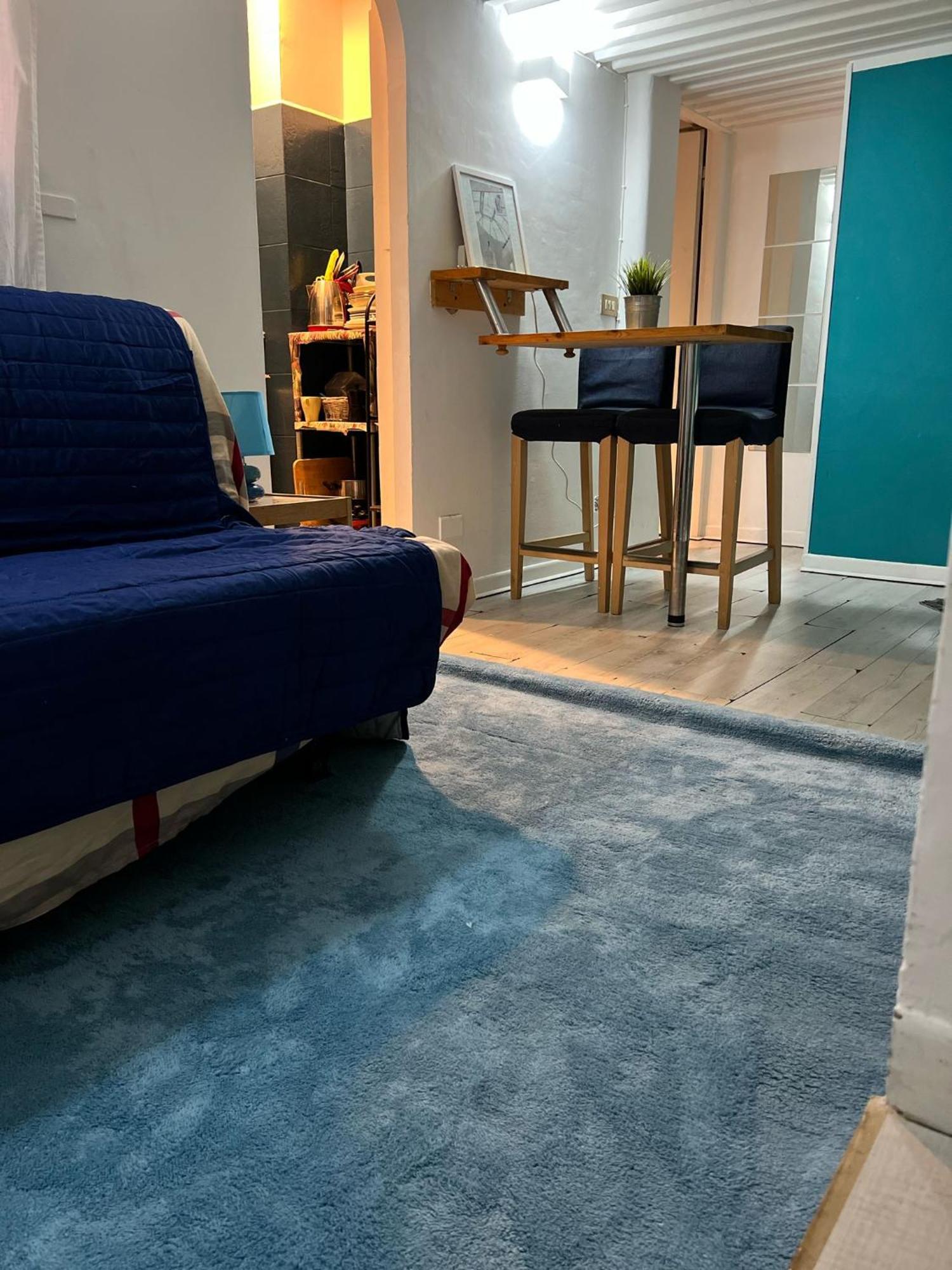 Apartment Lungo Tevere Trastevere Confort