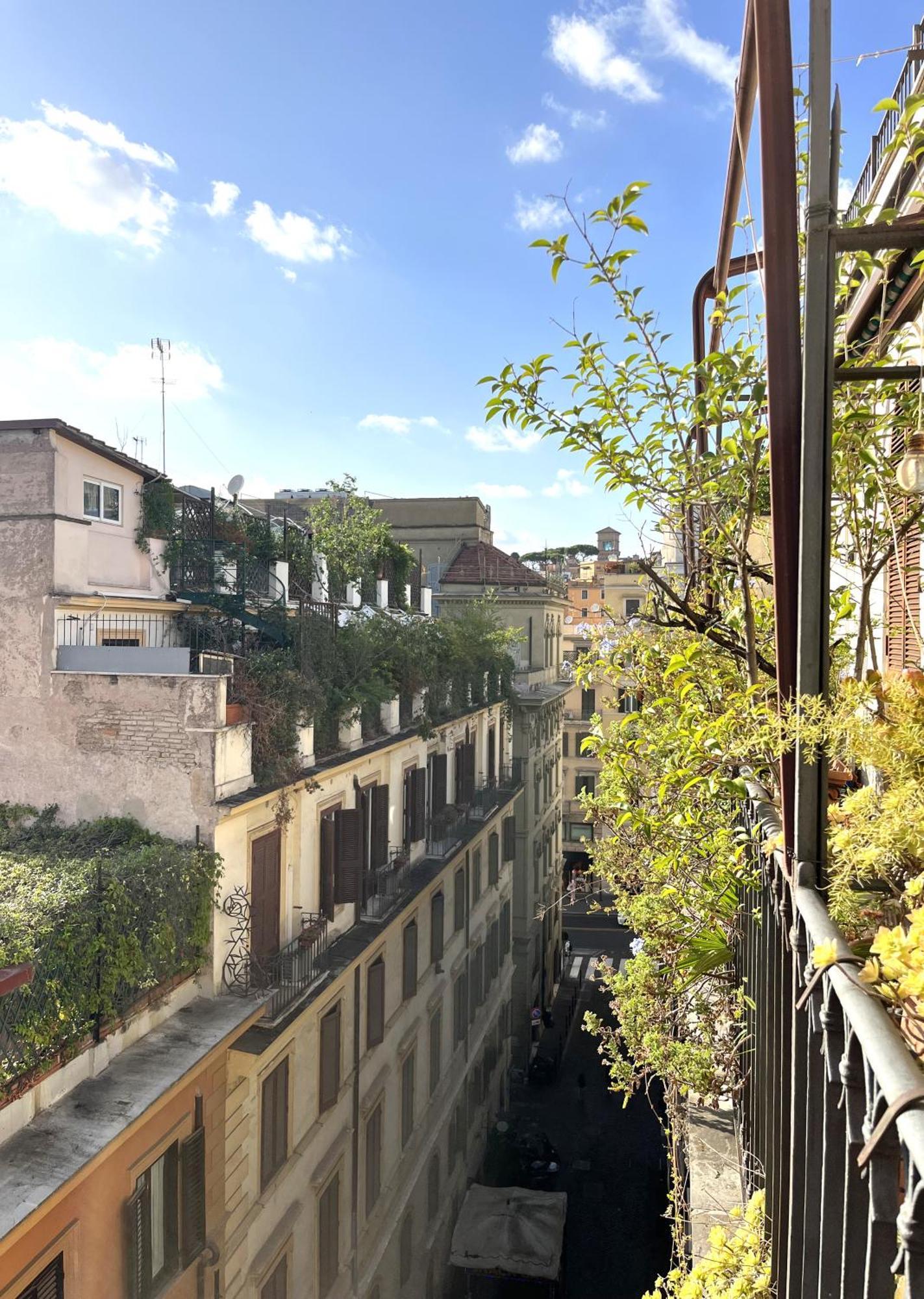 Trevi Over The Apartment