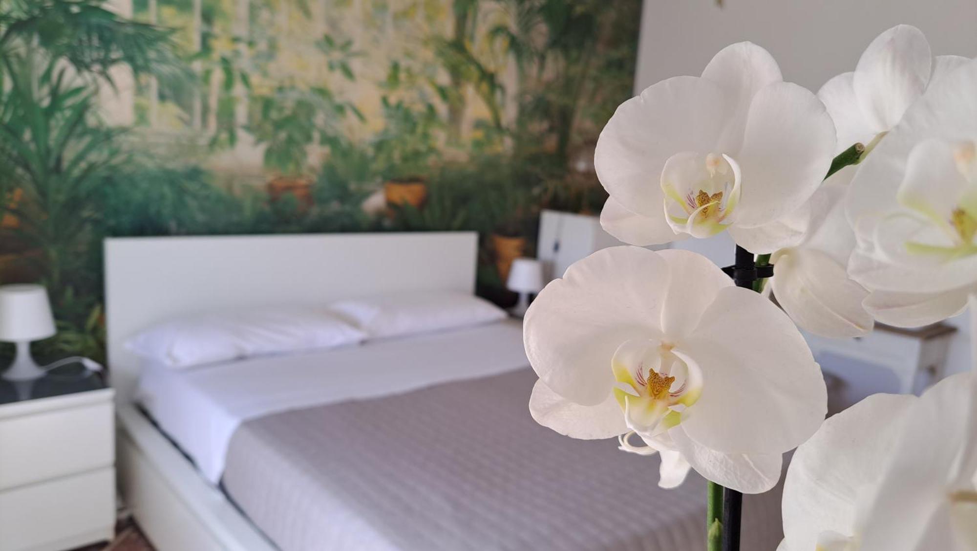 Apartment Citta Giardino Rome