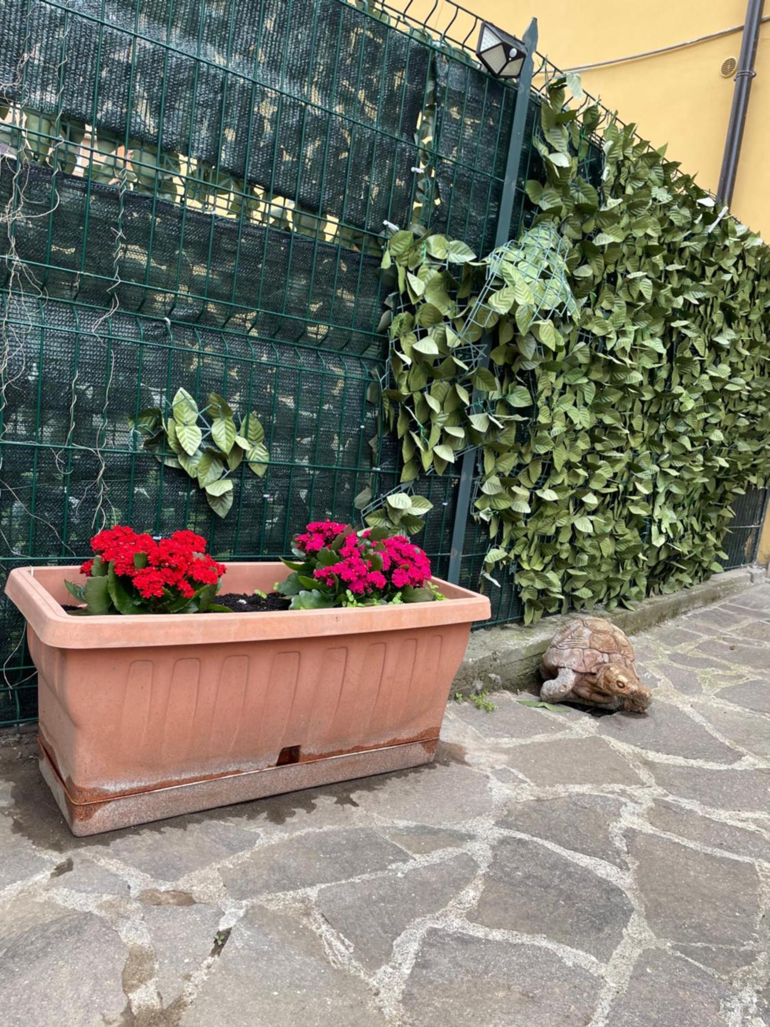 - Il Fenicottero * Roma
