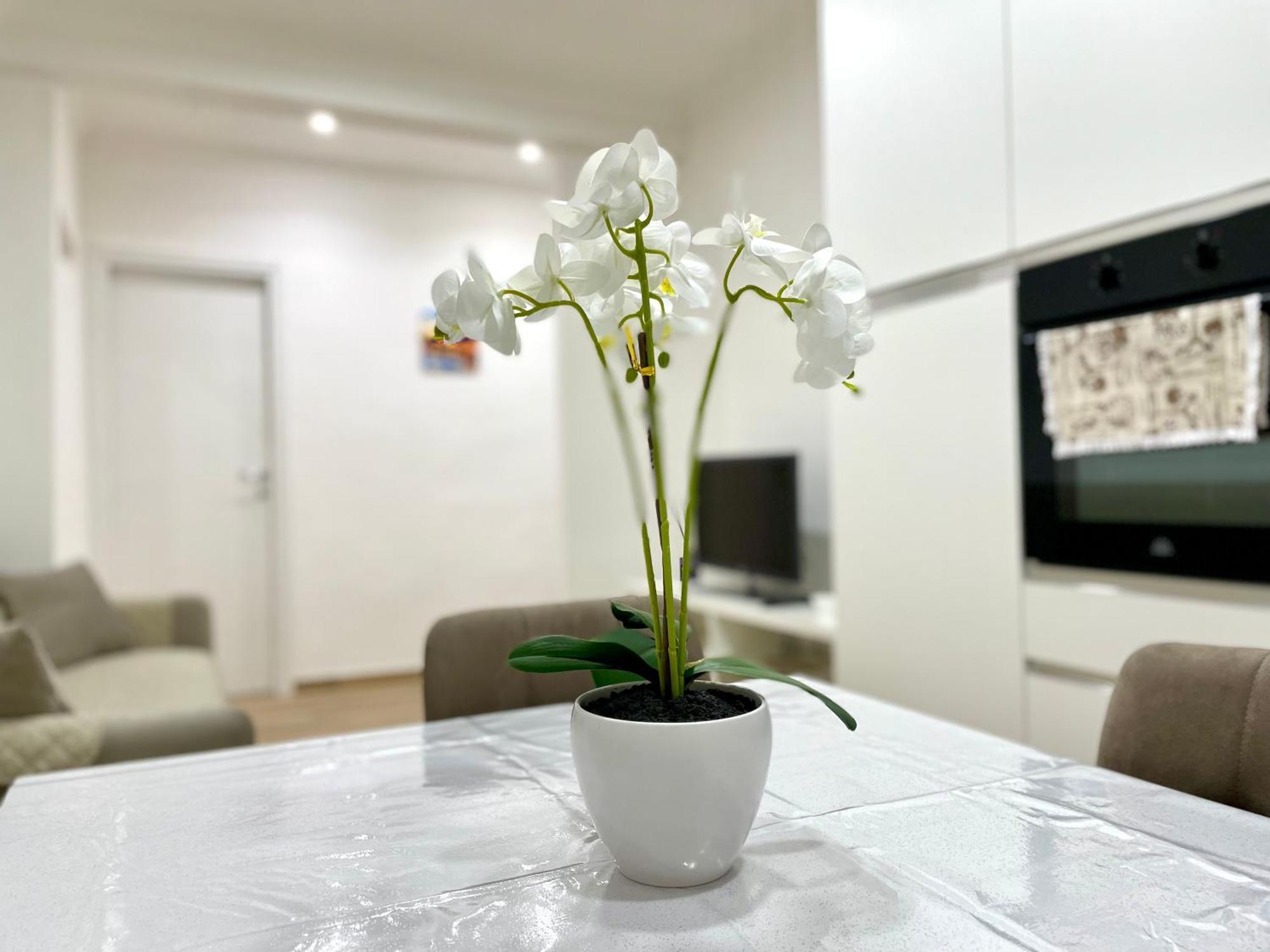 Best Rome Apartment Apartment *