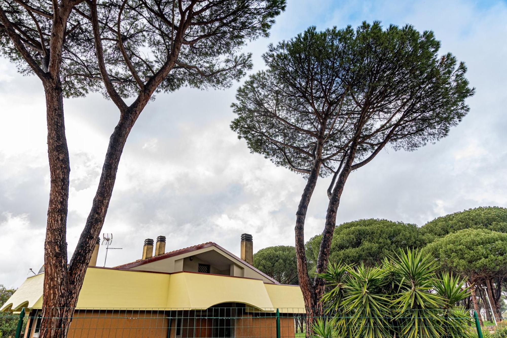 Pamphili Garden Apartment *