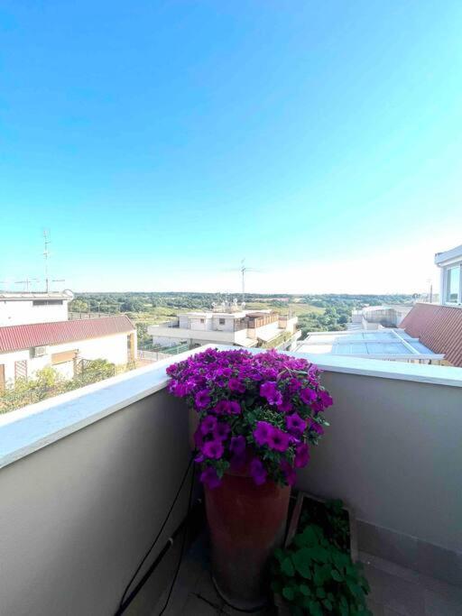 Super Attico Sul Parco Della Caffarella Apartment Rome