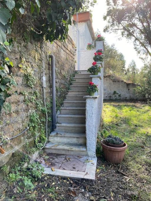 Casetta Indipendente Con Cortile E Parcheggio