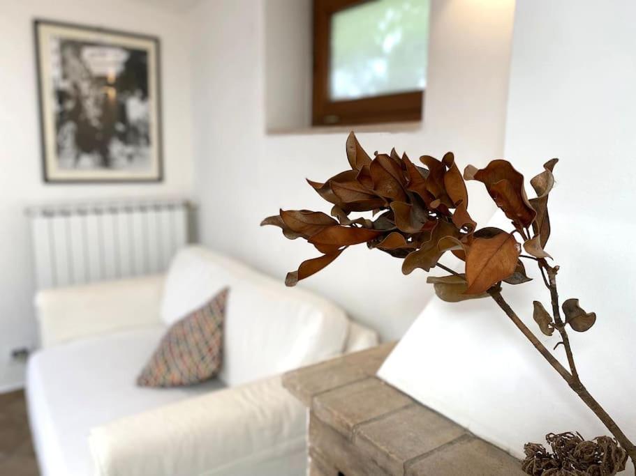 Casetta Indipendente Con Cortile E Parcheggio Apartment