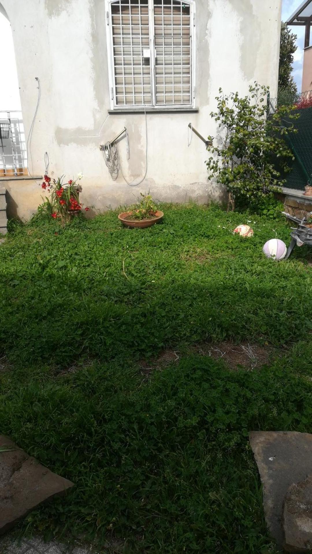 Elena House Homestay *