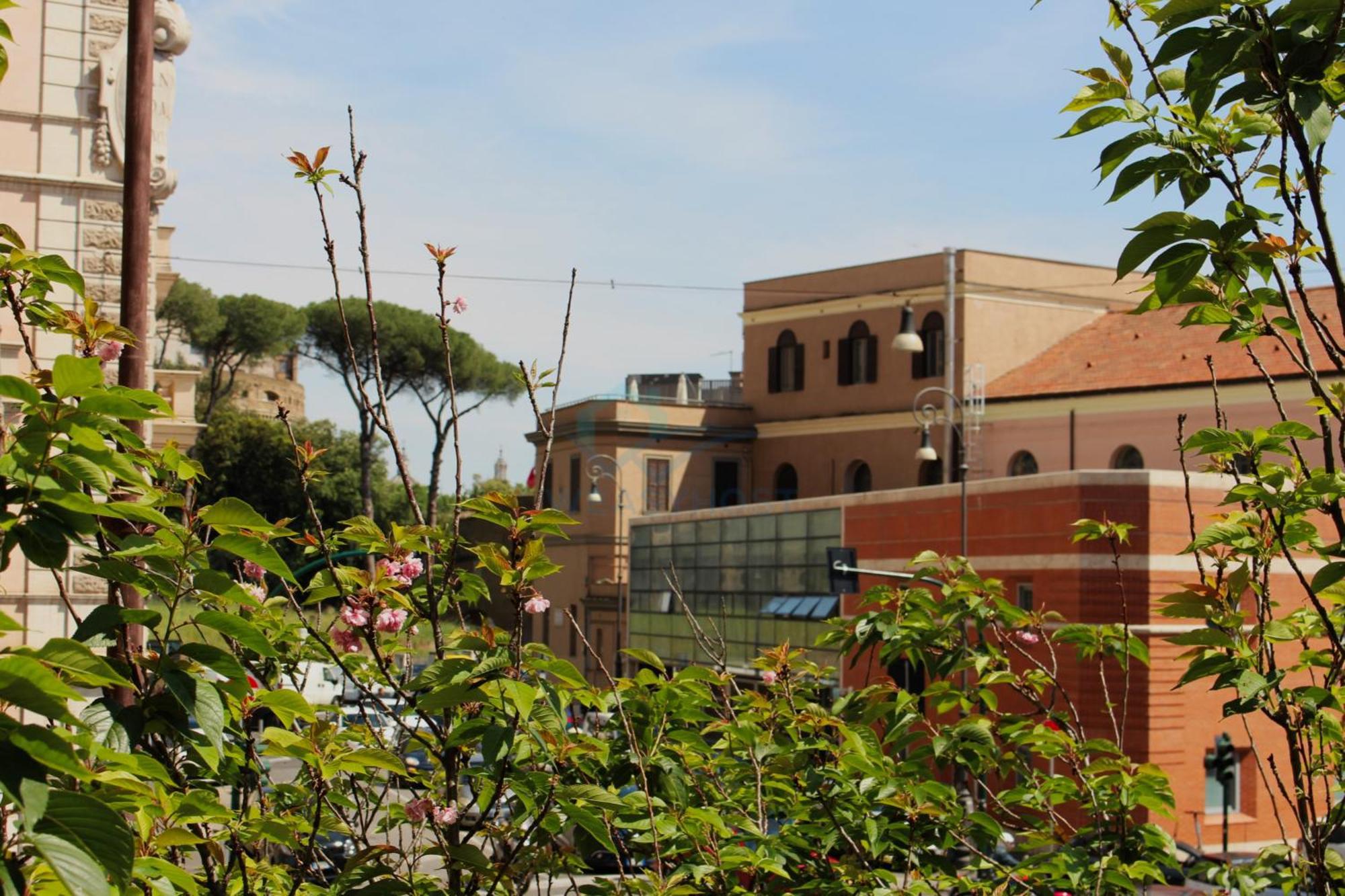 Apartment Your Perfect Getaway In Vatican *