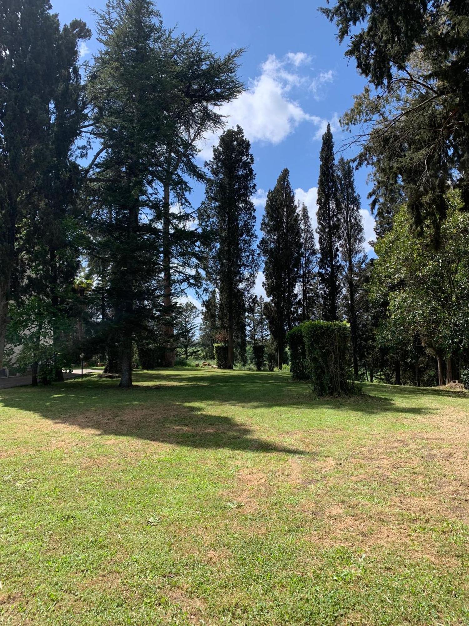 Un'oasi Nel A Pochi Chilometri Dalla Citta Holiday home